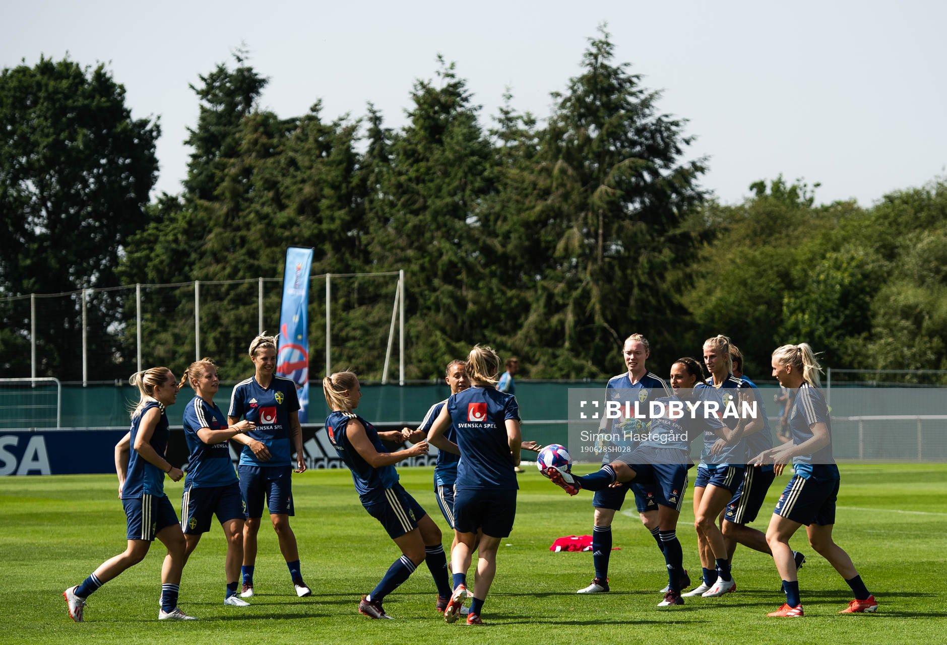 Players of Sweden