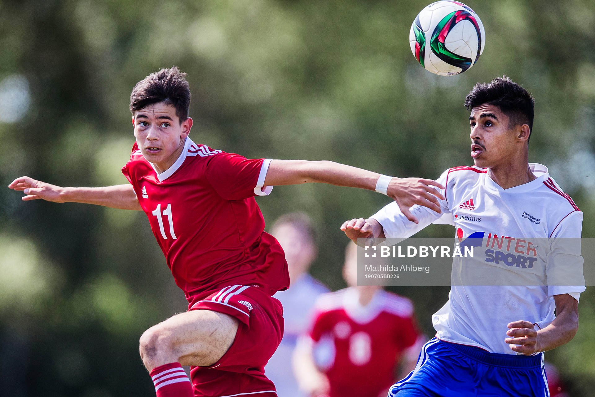Skånes Deniz Saliveski och Östergötlands Mustafa Omran