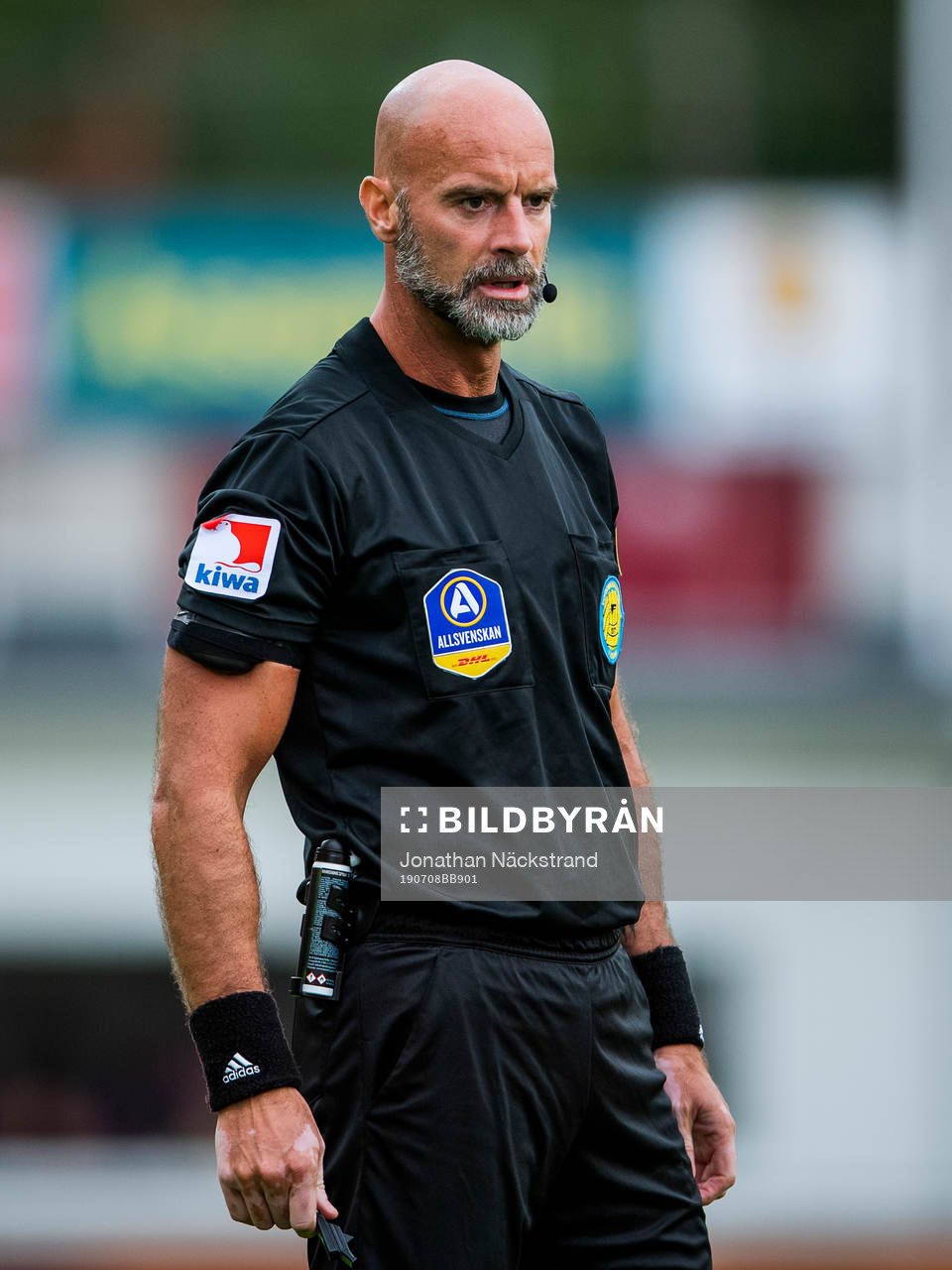 Domare Stefan Johannesson