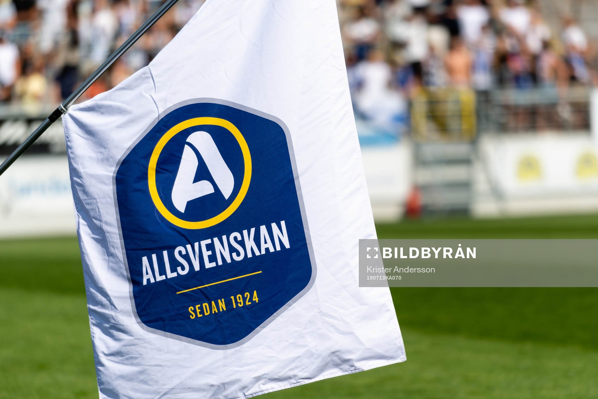 Flagga medallsvenskan