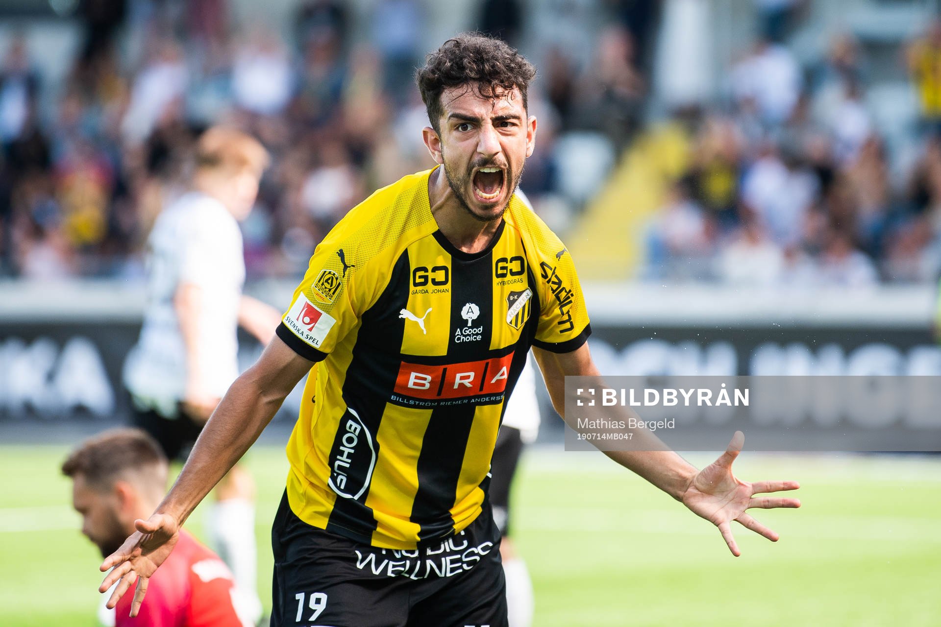 Häckens Daleho Irandust jublar