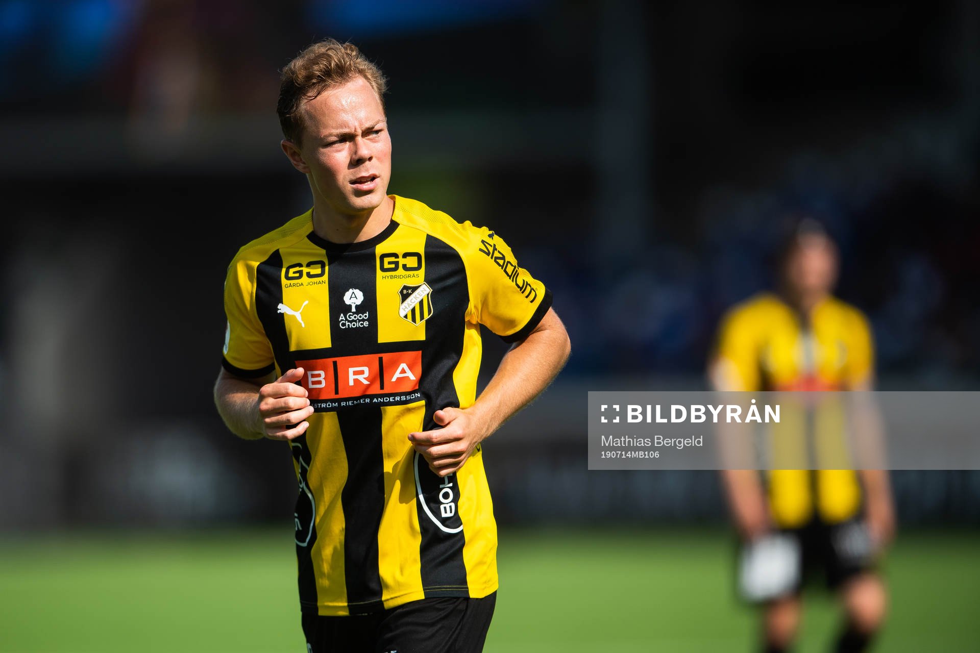 Häckens Adam Andersson