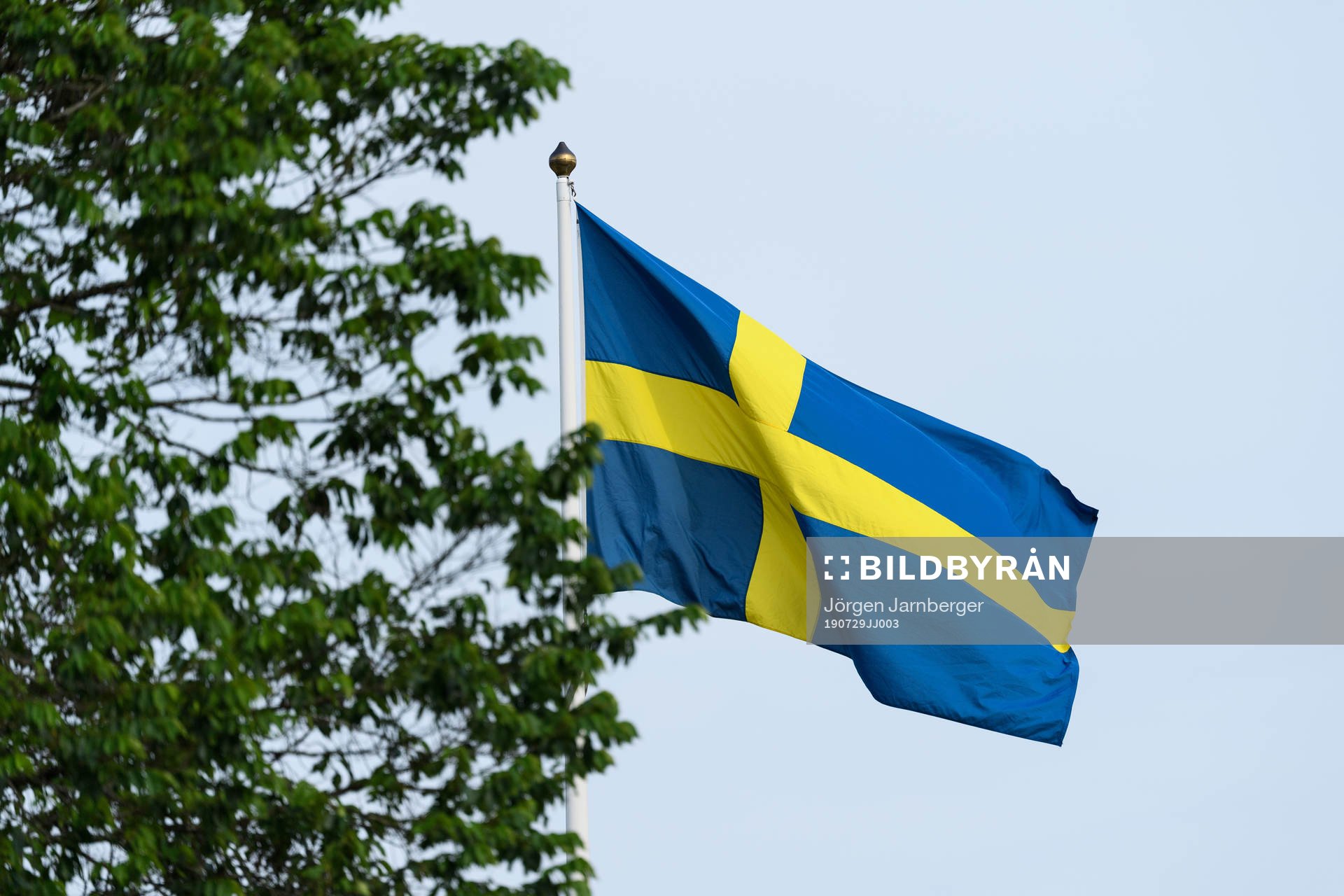 Svenska flaggan