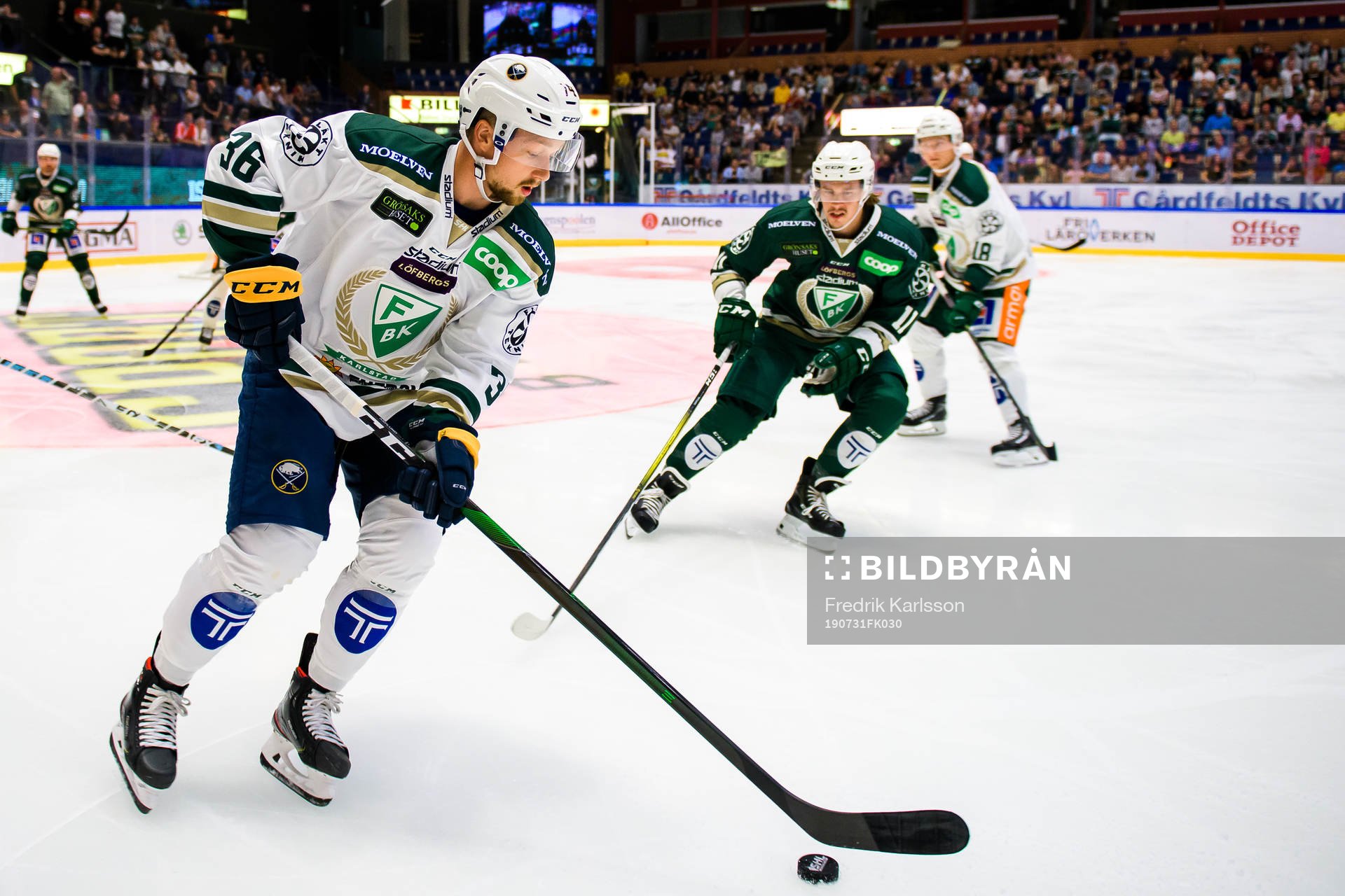 Rochester Americans, Rasmus Asplund och Edmonton Oilers