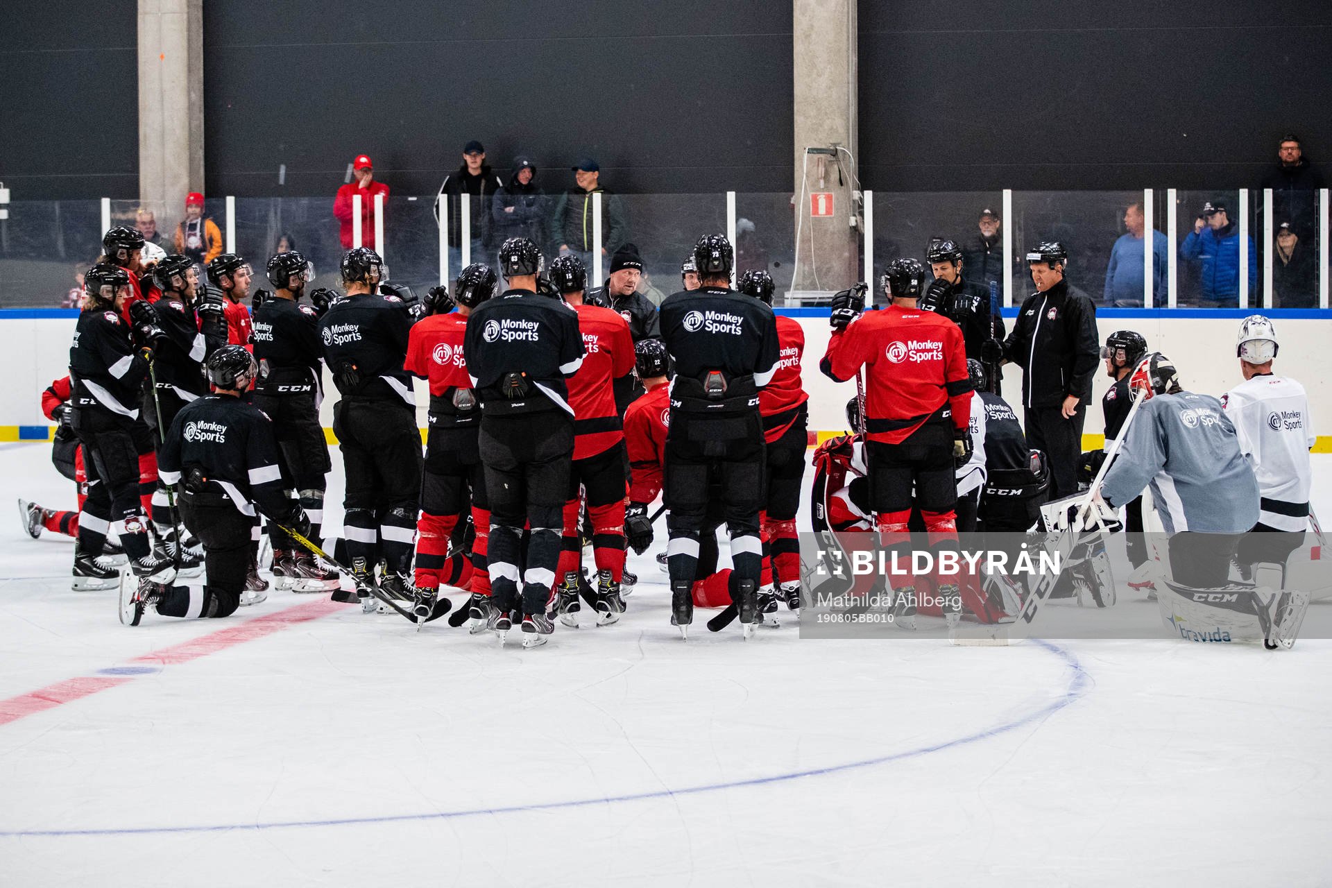 Malmö Redhawks spelare samlade