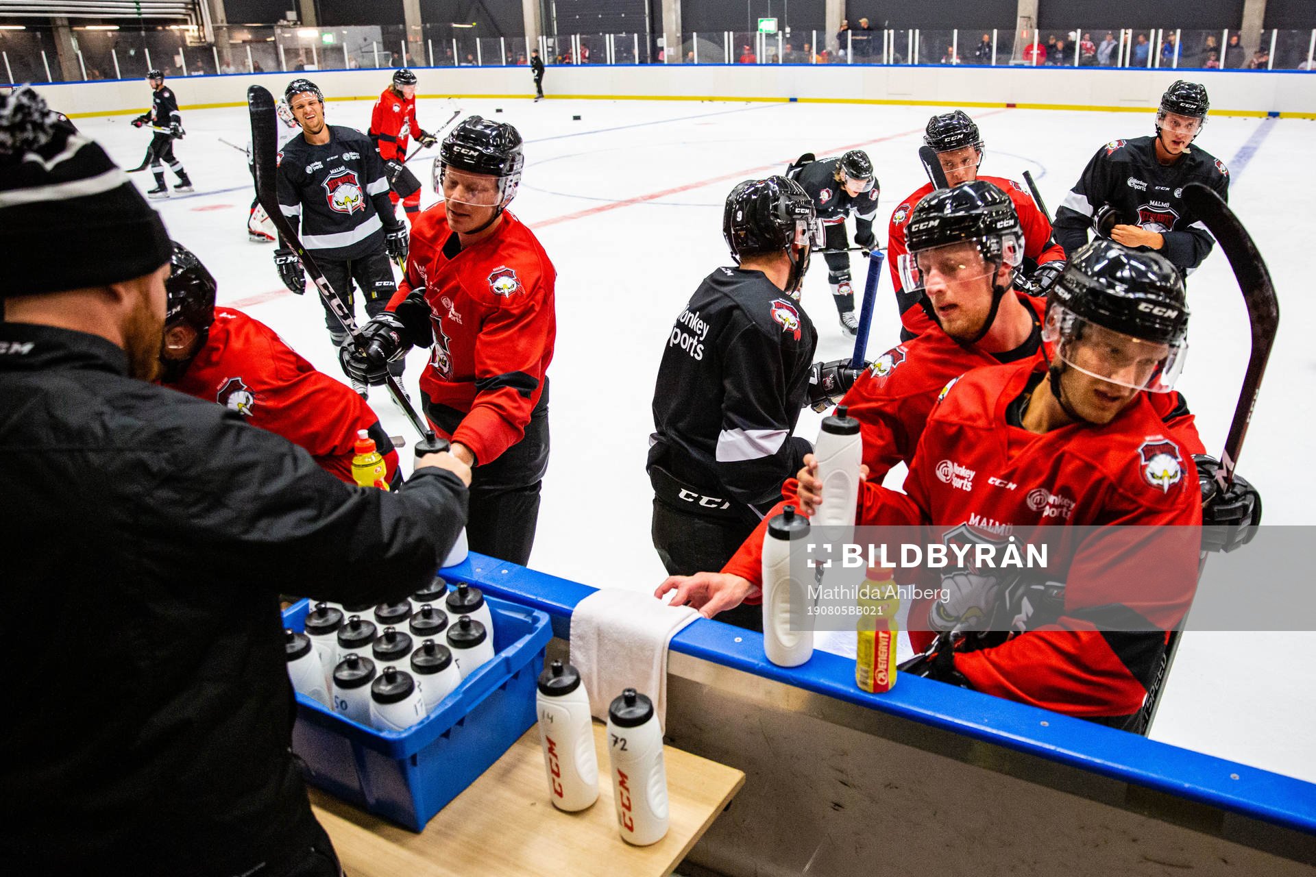 Malmö Redhawks spelare