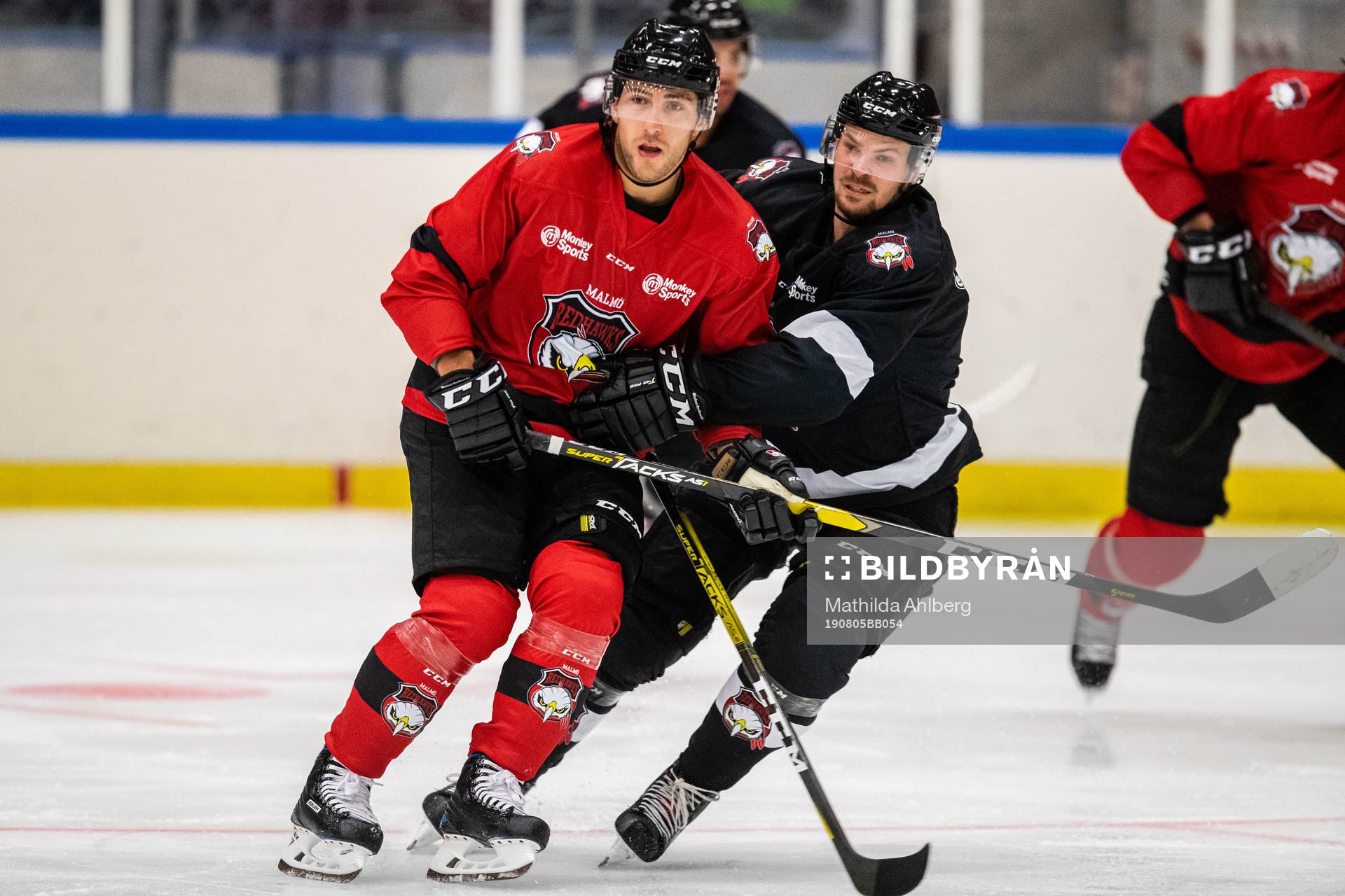 Konstantin Komarek och Emil Molin