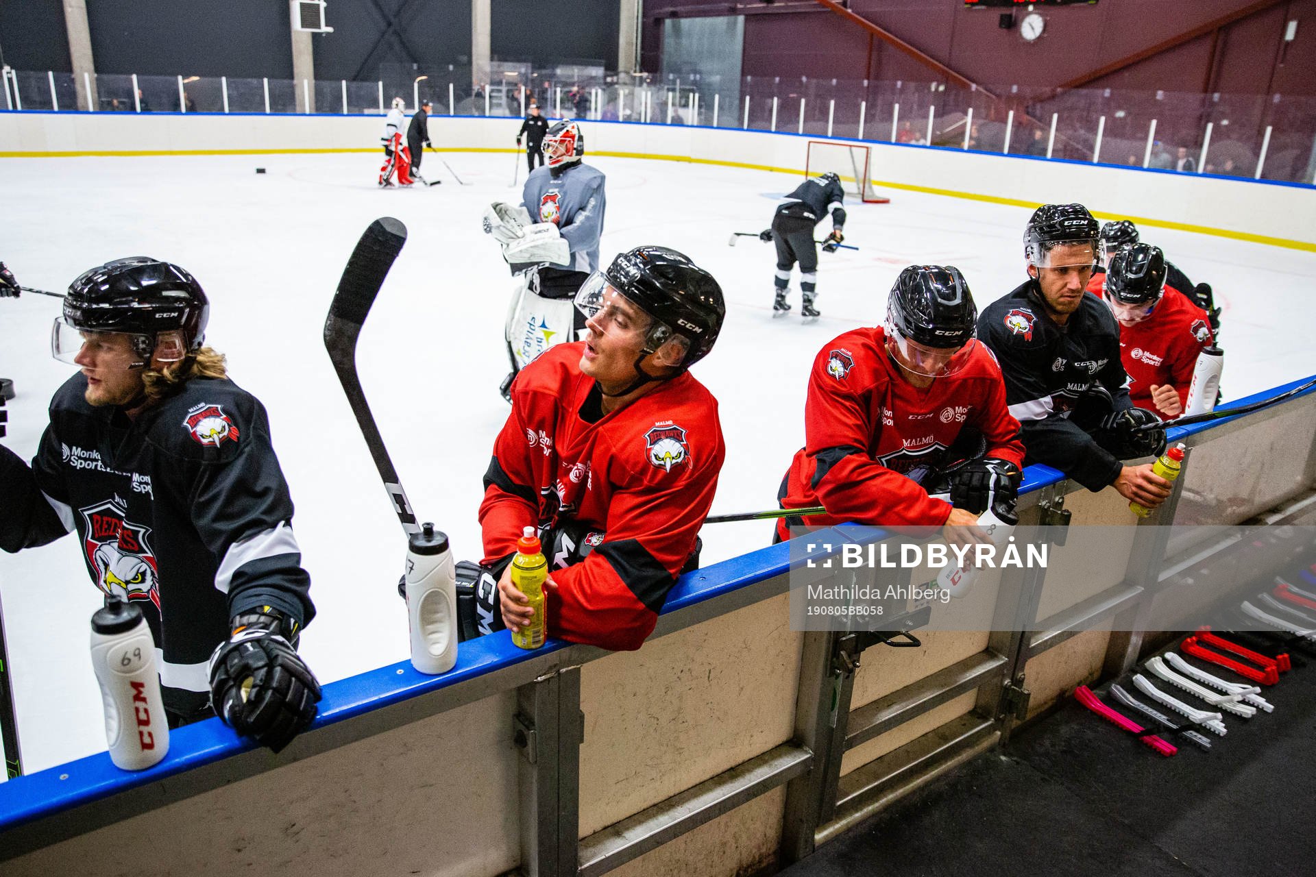 Malmö Redhawks spelare
