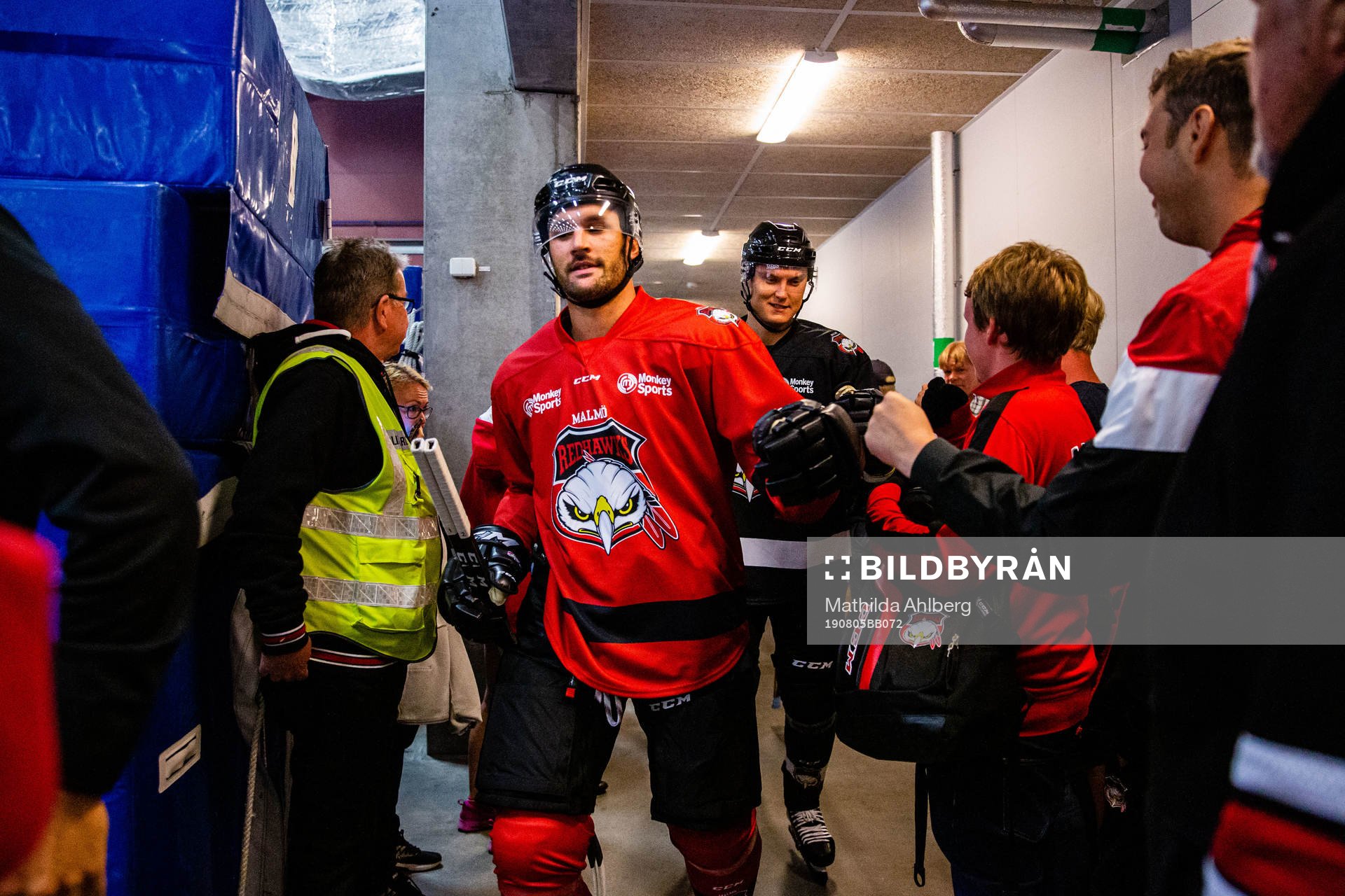 Niklas Arell