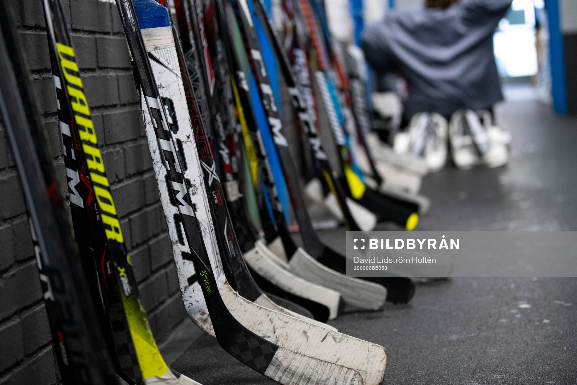 Hockey sticks