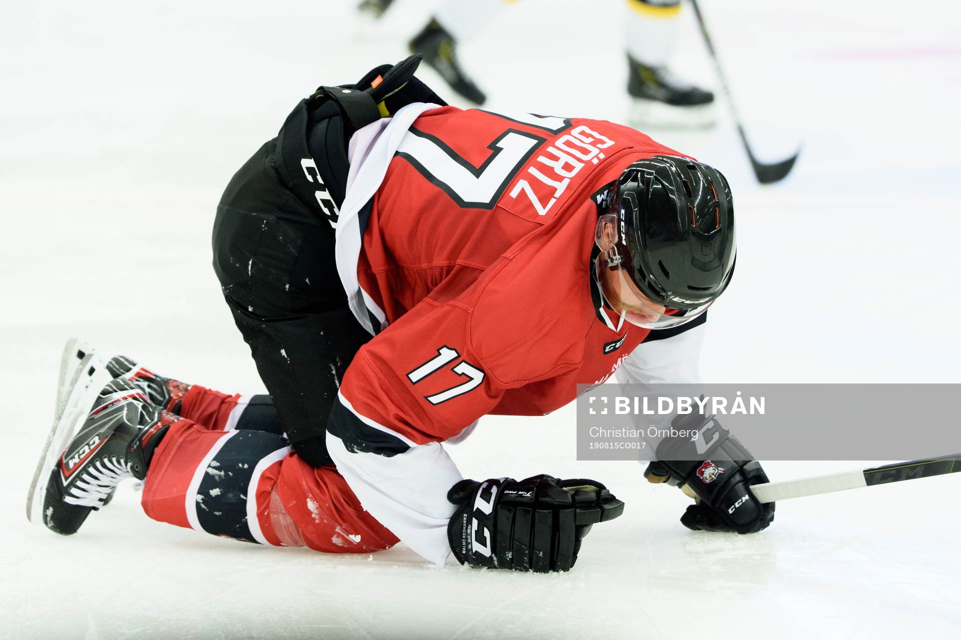 Malmö Redhawks Max Görtz sitter på isen