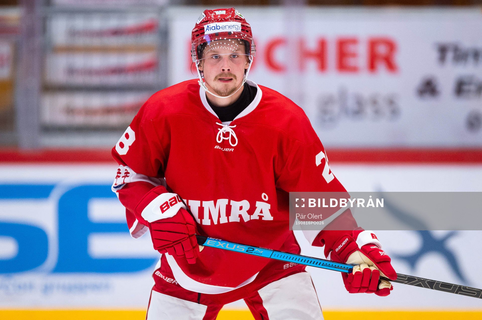 Timrås Jonathan Dahlén