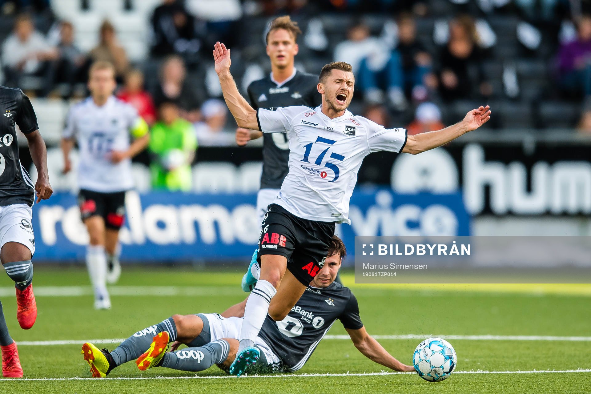 XXX during the Eliteserien match between Odd and Rosenborg