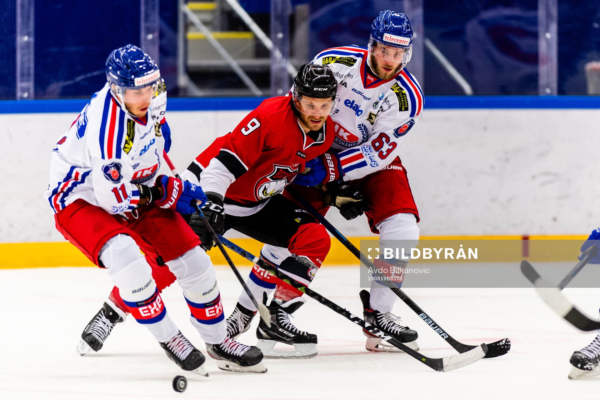 Malmö Redhawks Frederik Storm