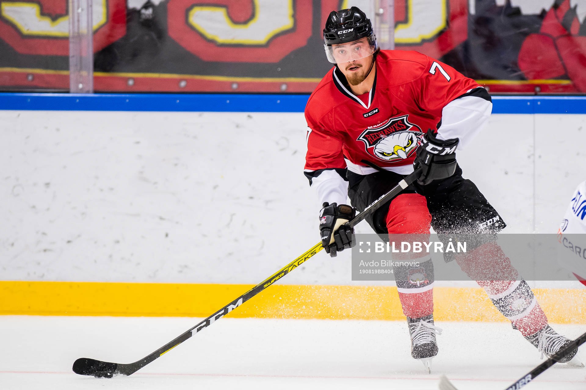 Malmö Redhawks Marcus Björk