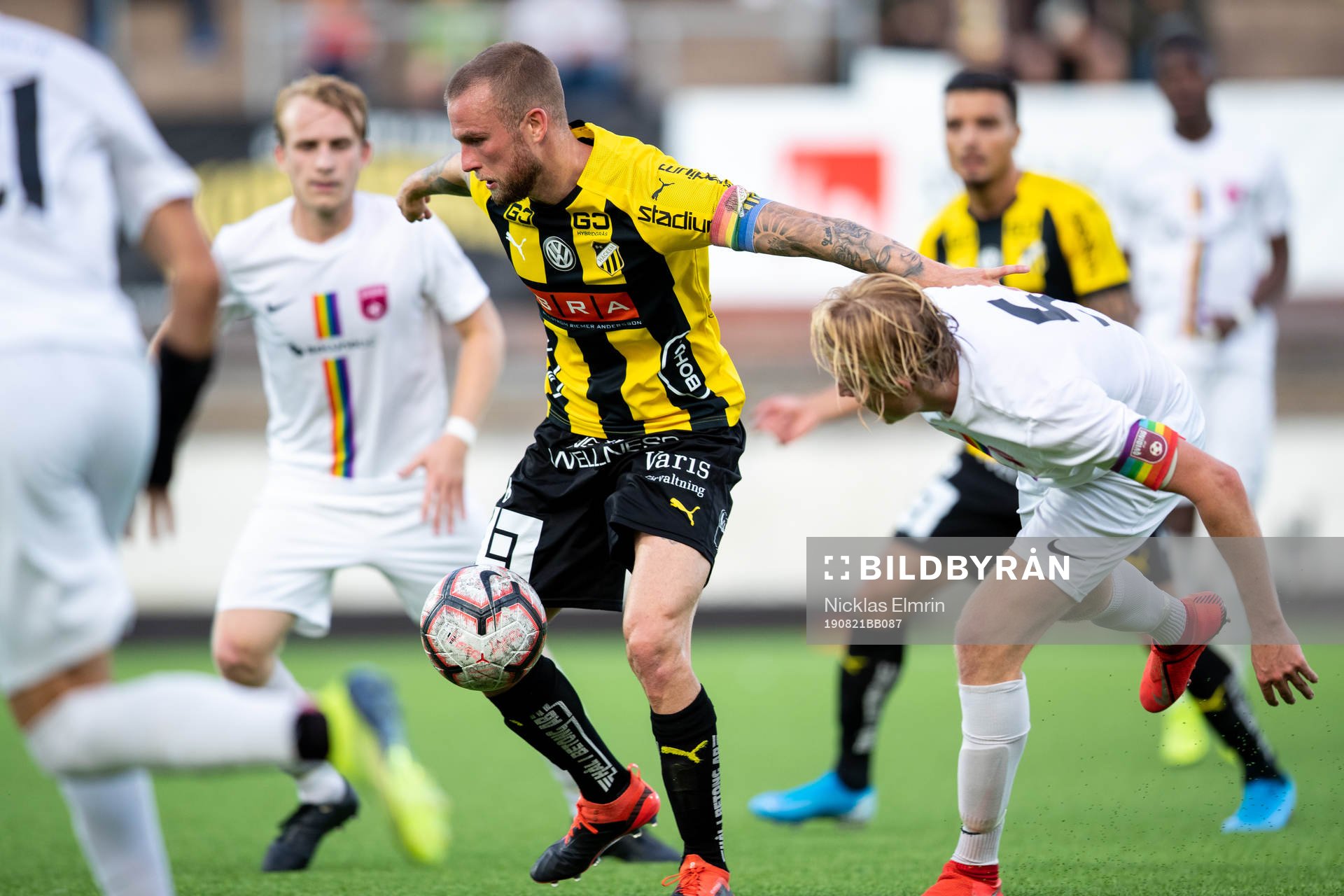 Häckens Alexander Faltsetas