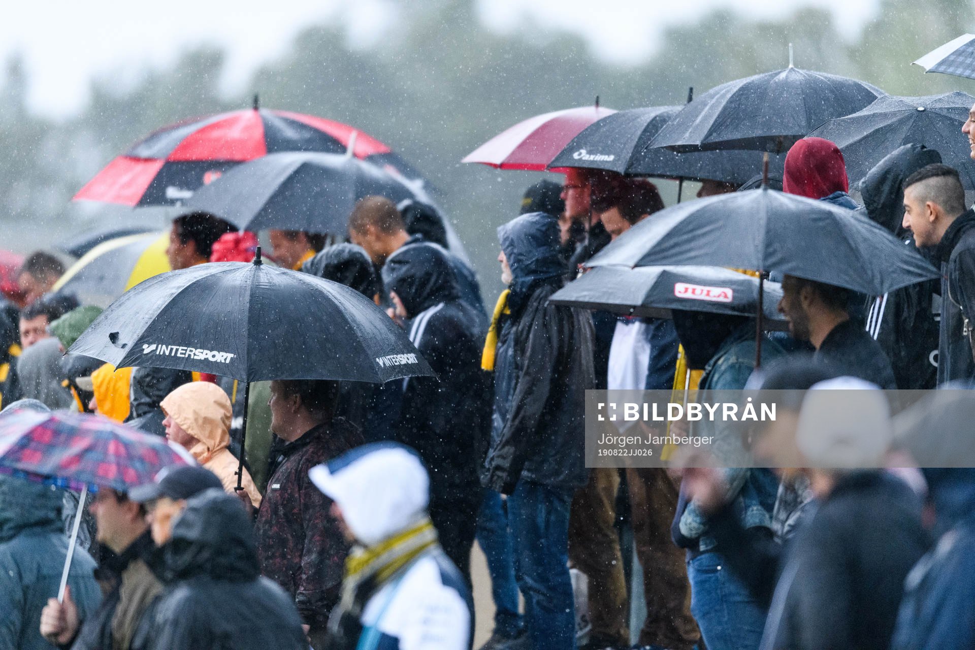 Regn