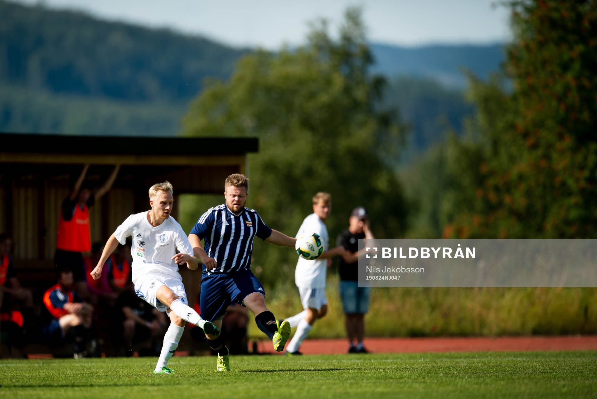 Robin Persson, Kovland