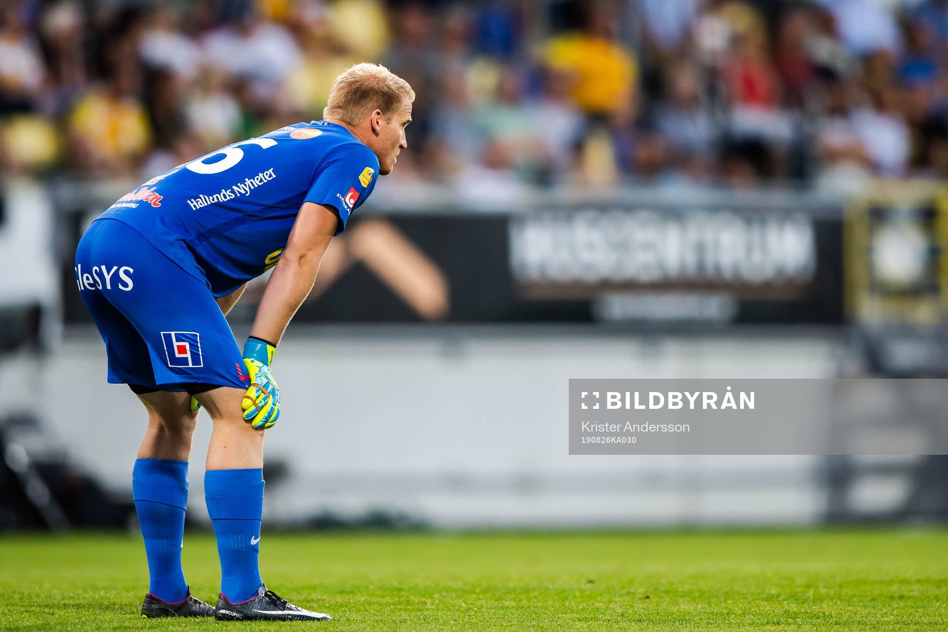 Falkenbergs målvakt Hampus Nilsson