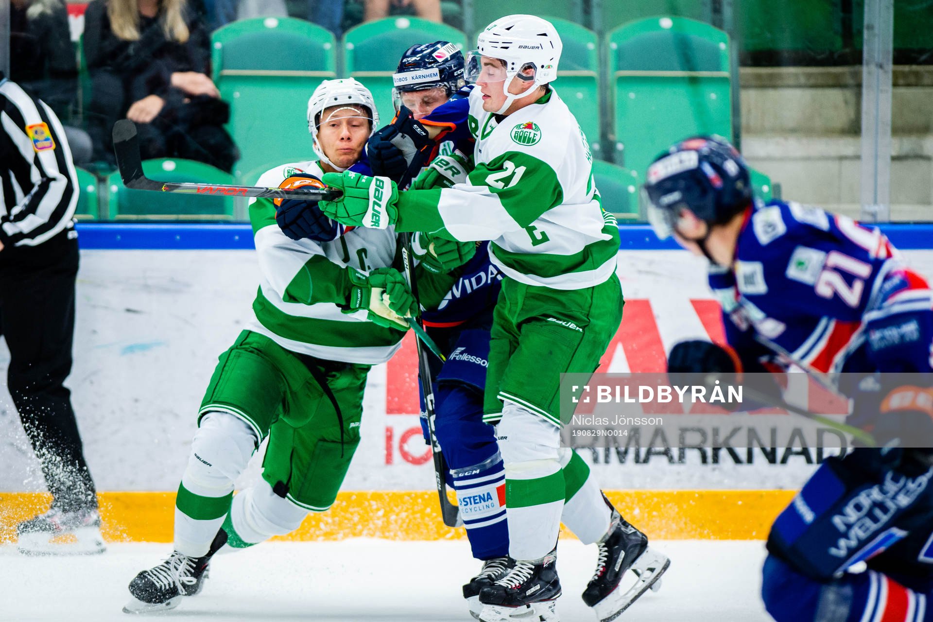 Rögles Daniel Bertov och Nils Höglander