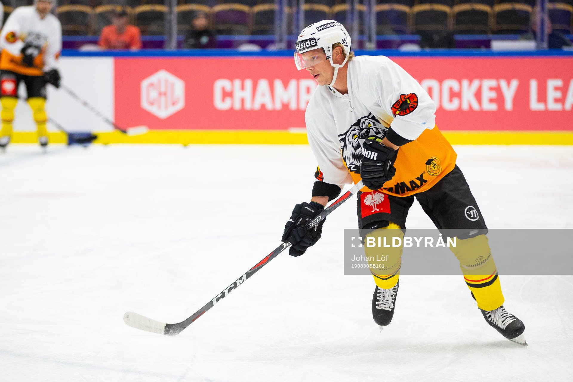 Gregory Sciaroni of Bern