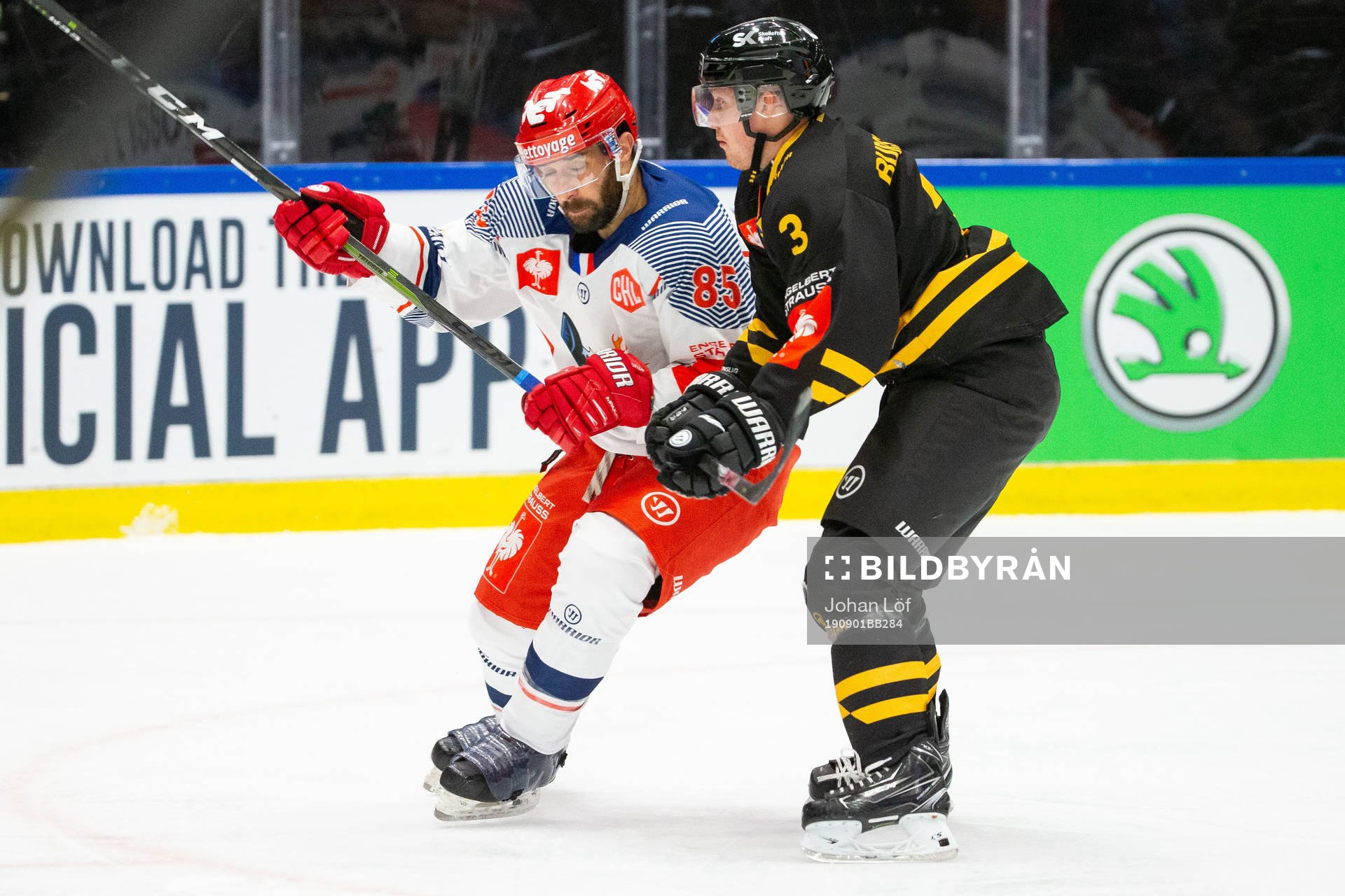 Sébastien Rohat of Grenoble and Niclas Burström of