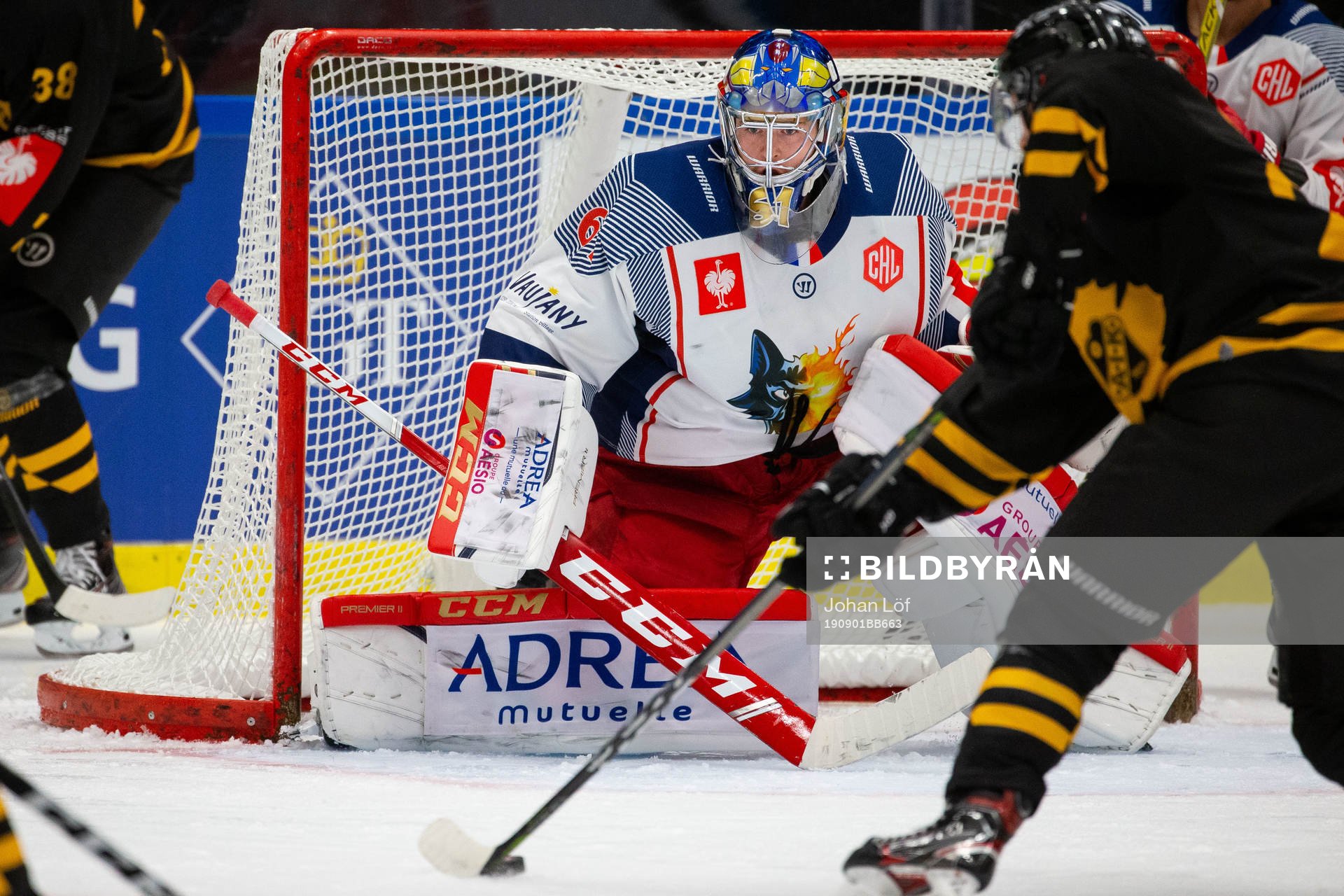 Goalkeeper Lukas Horak  of Grenoble