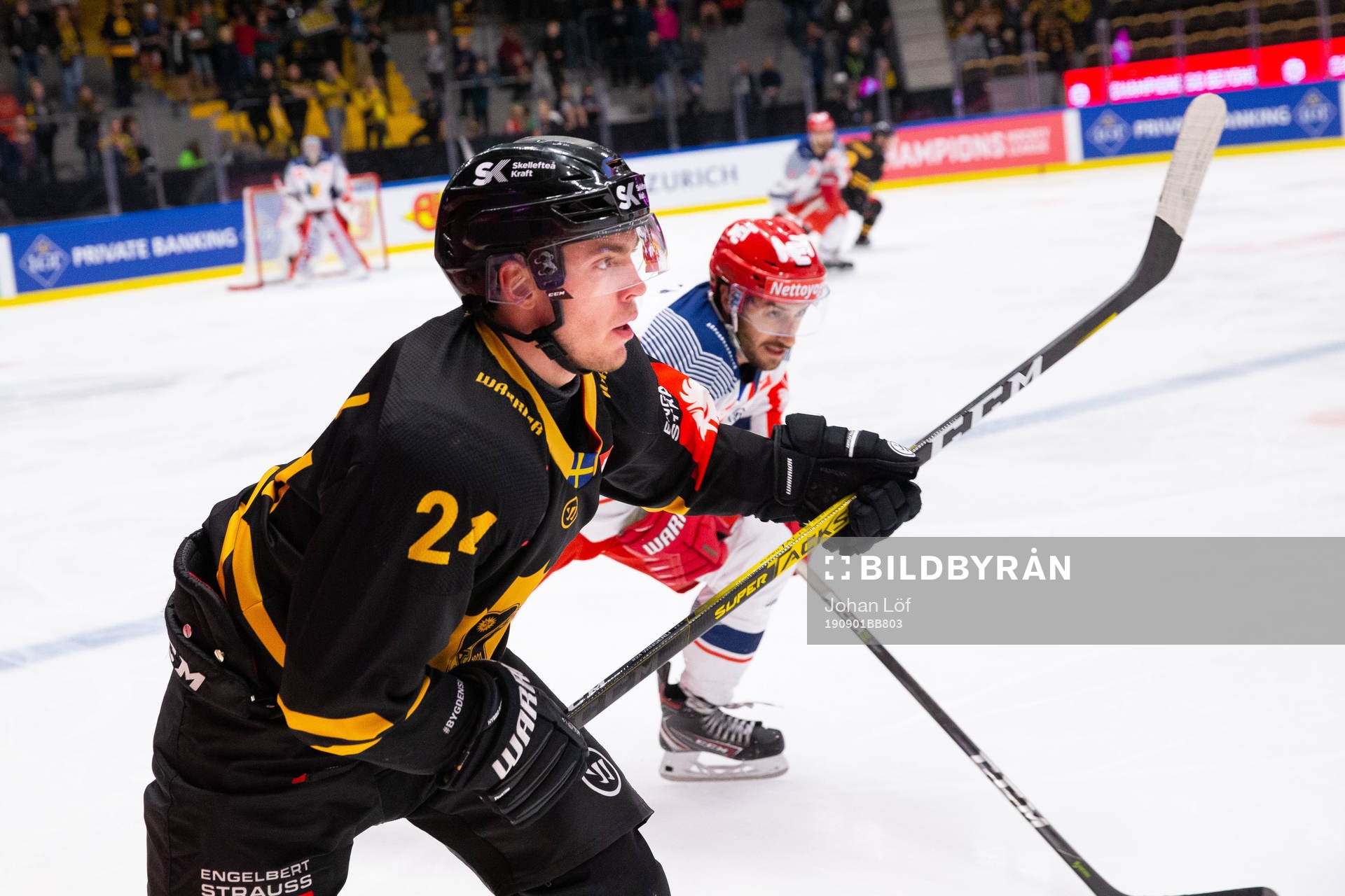 Andreas Wingerli of Skellefteå