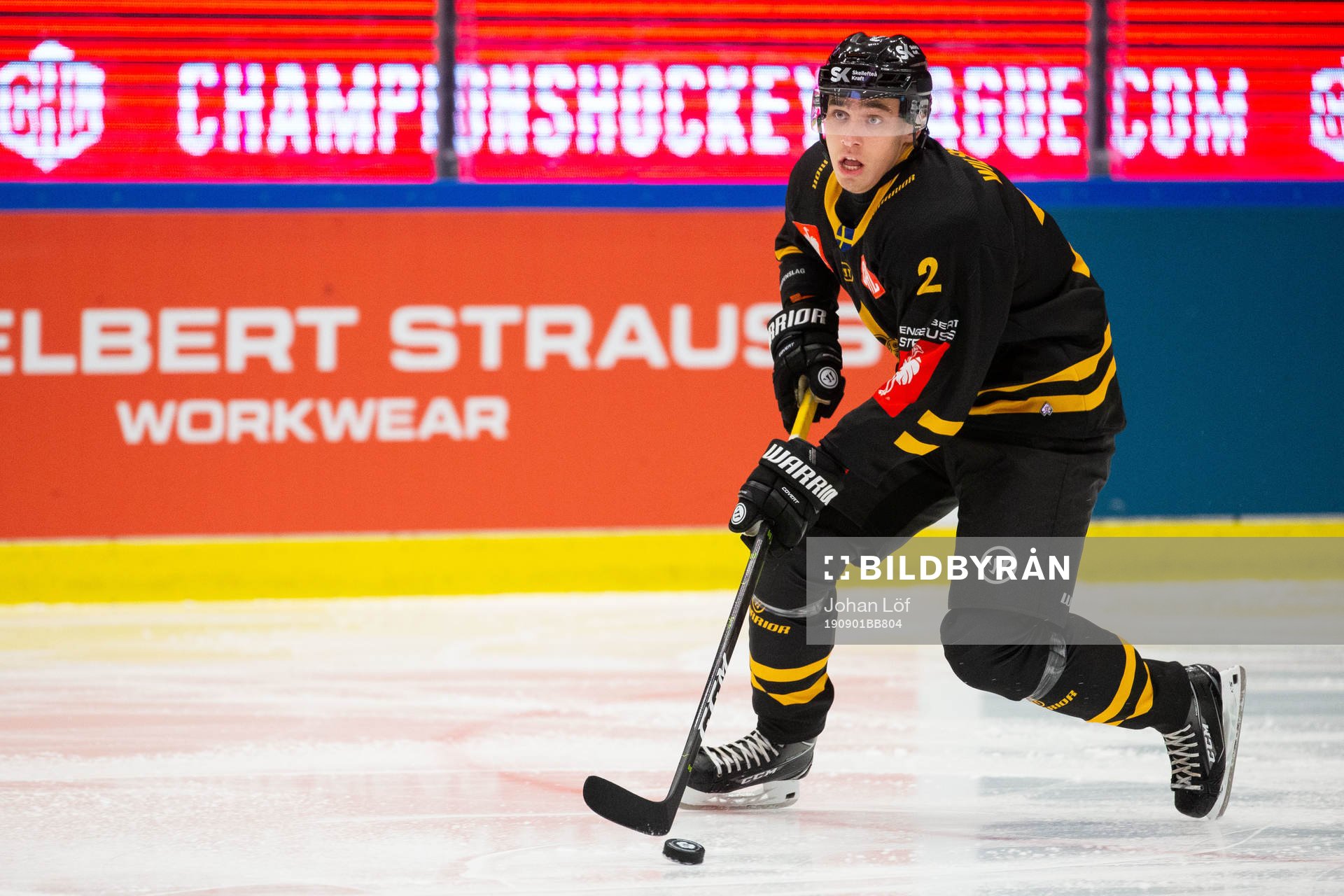 Adam Wilsby of Skellefteå