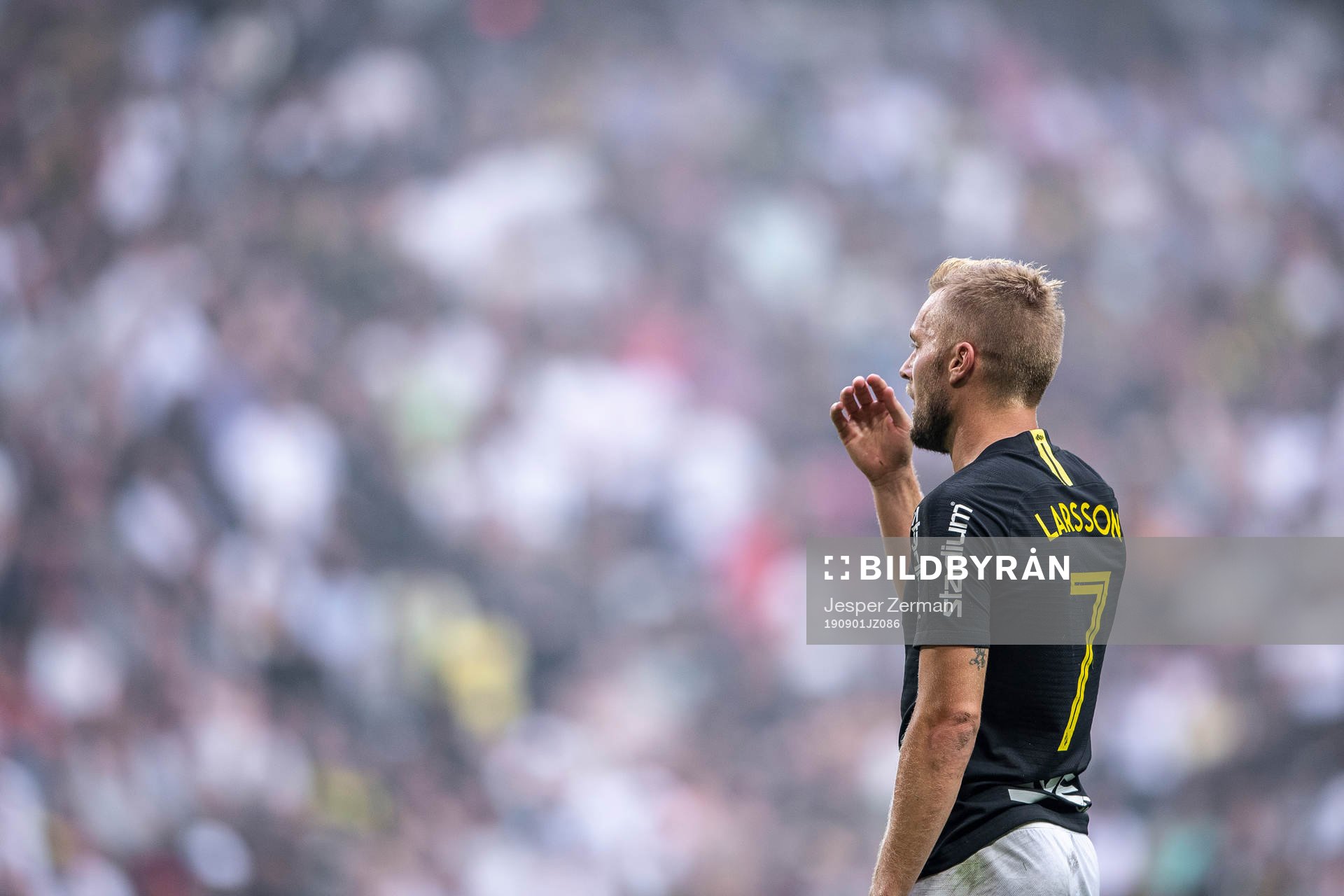 s Sebastian Larsson