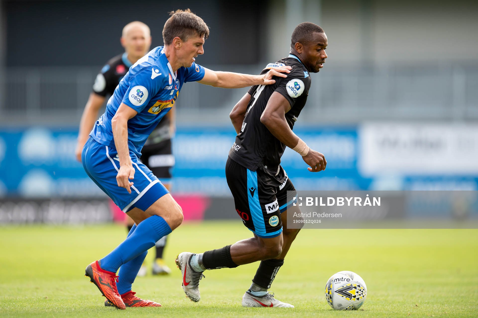 Alberto Ortiz Tito Moreno of Sandefjord and Kachi of