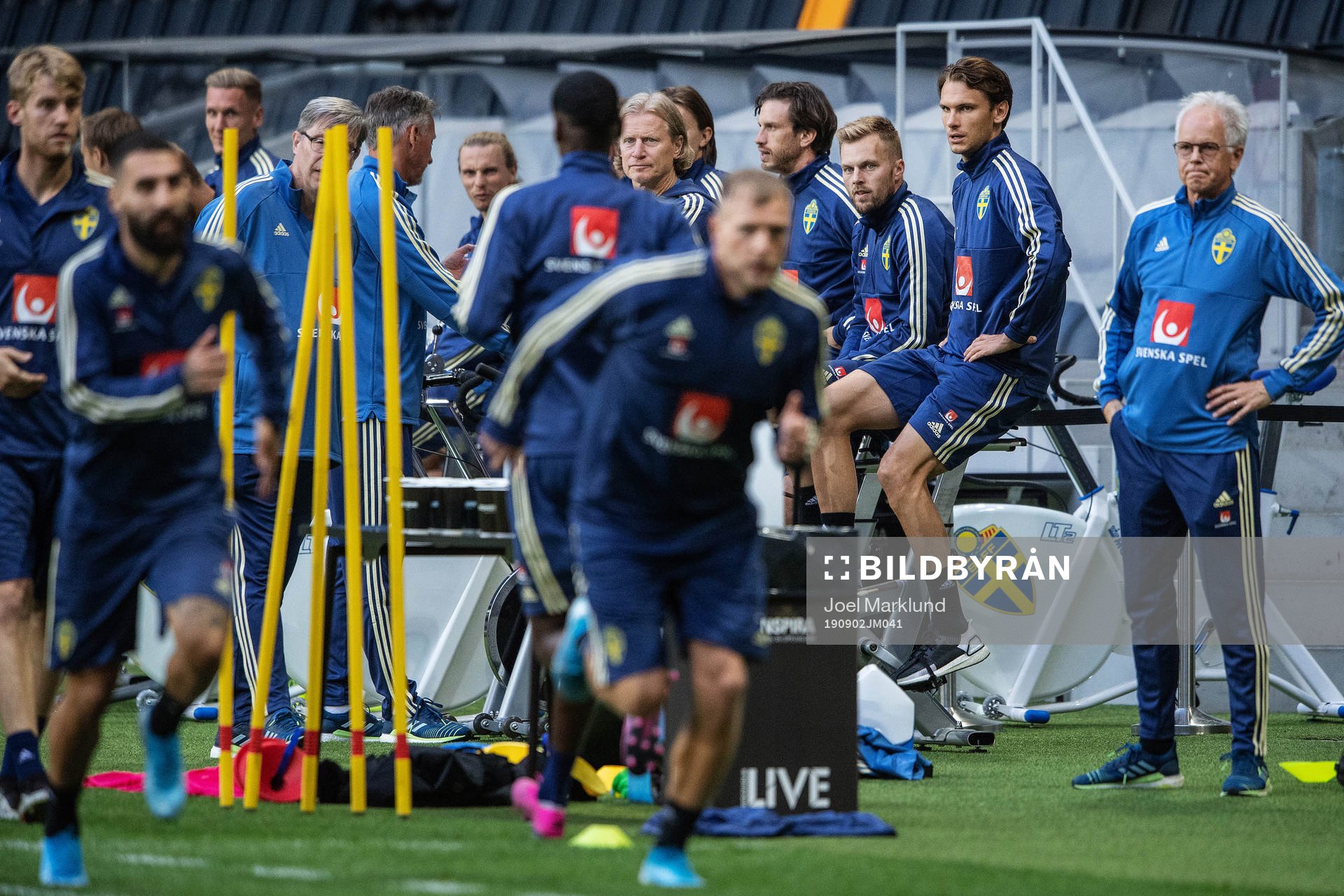 Sebastian Larsson and Albin Ekdal of the Swedish national