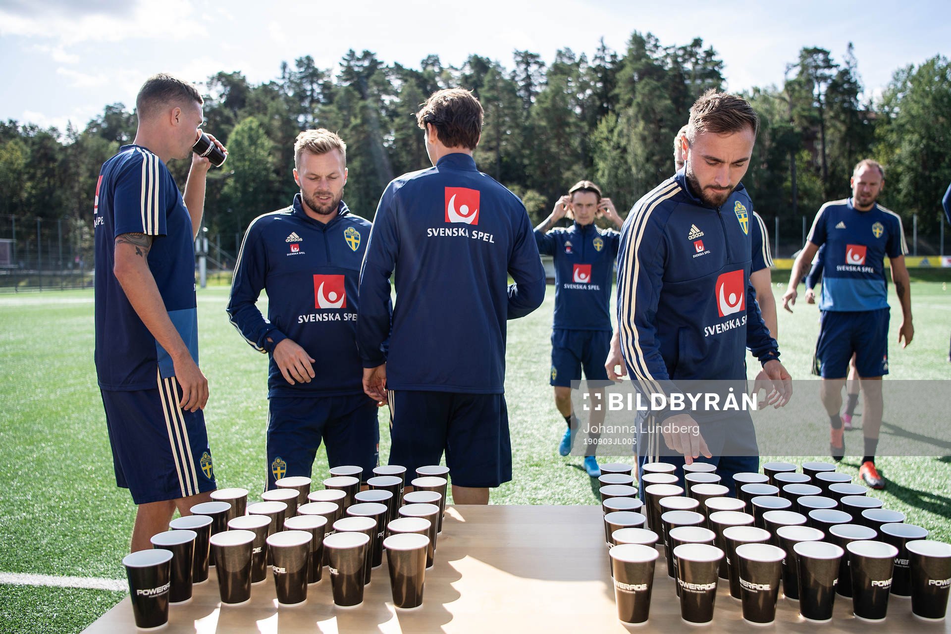 Mikael Lustig, Sebastian Larsson, Albin Ekdal and Muamer