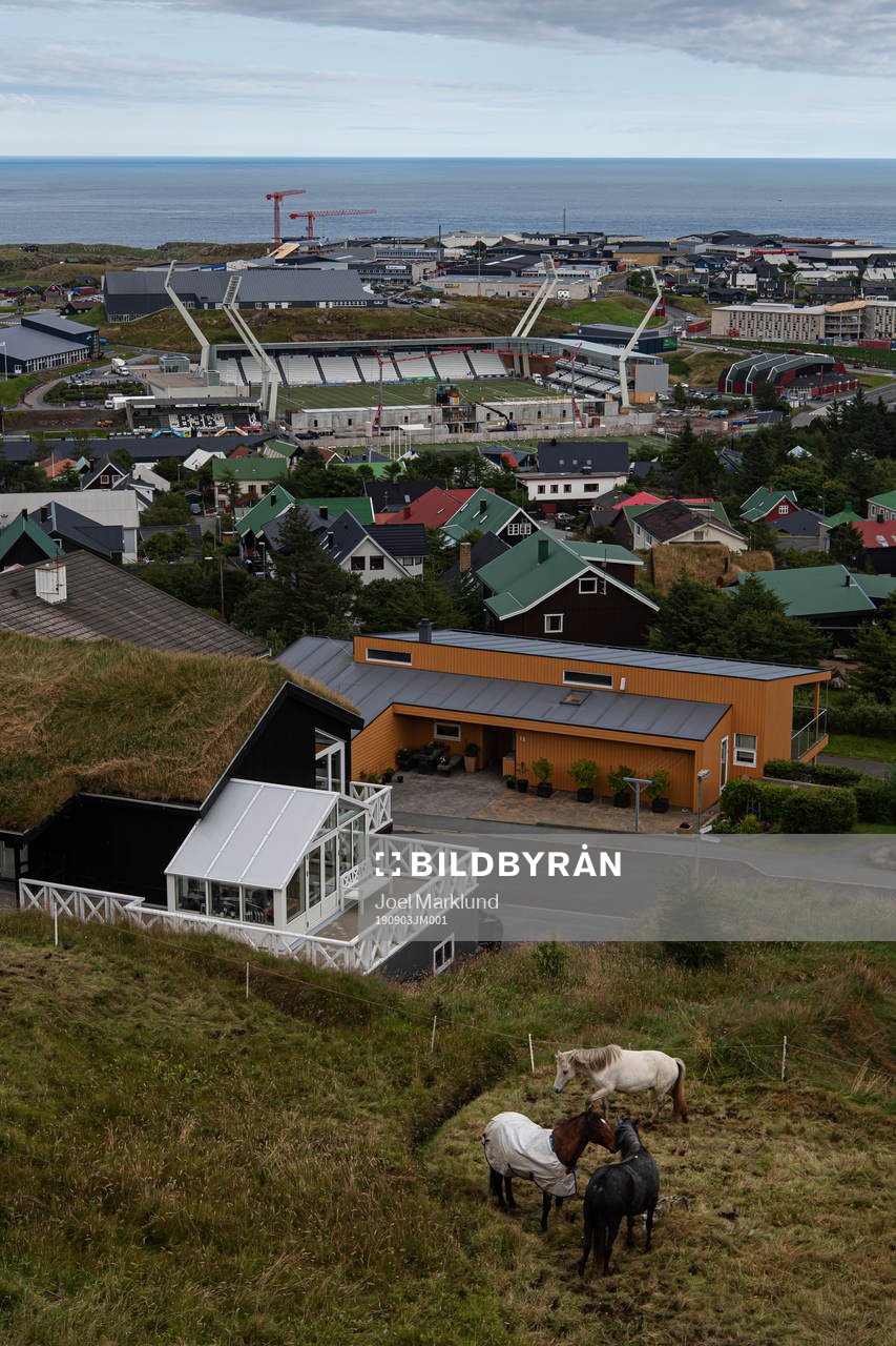 Horses at distance from Tórsvøllur Stadium where players