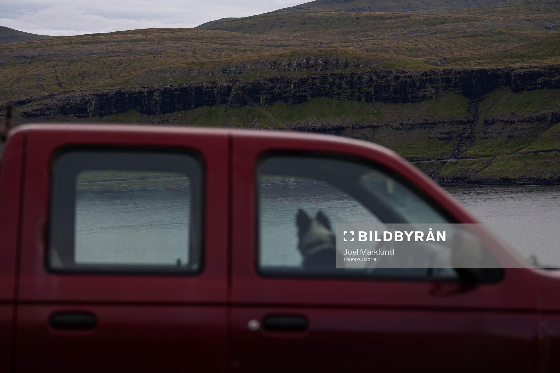Cliffs and mountains can be seen in the foreground of a dog