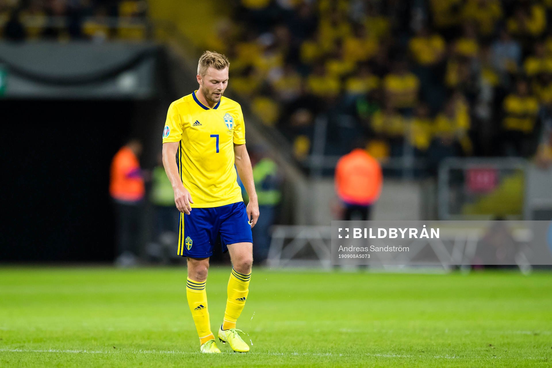 Sebastian Larsson of Sweden looks dejected