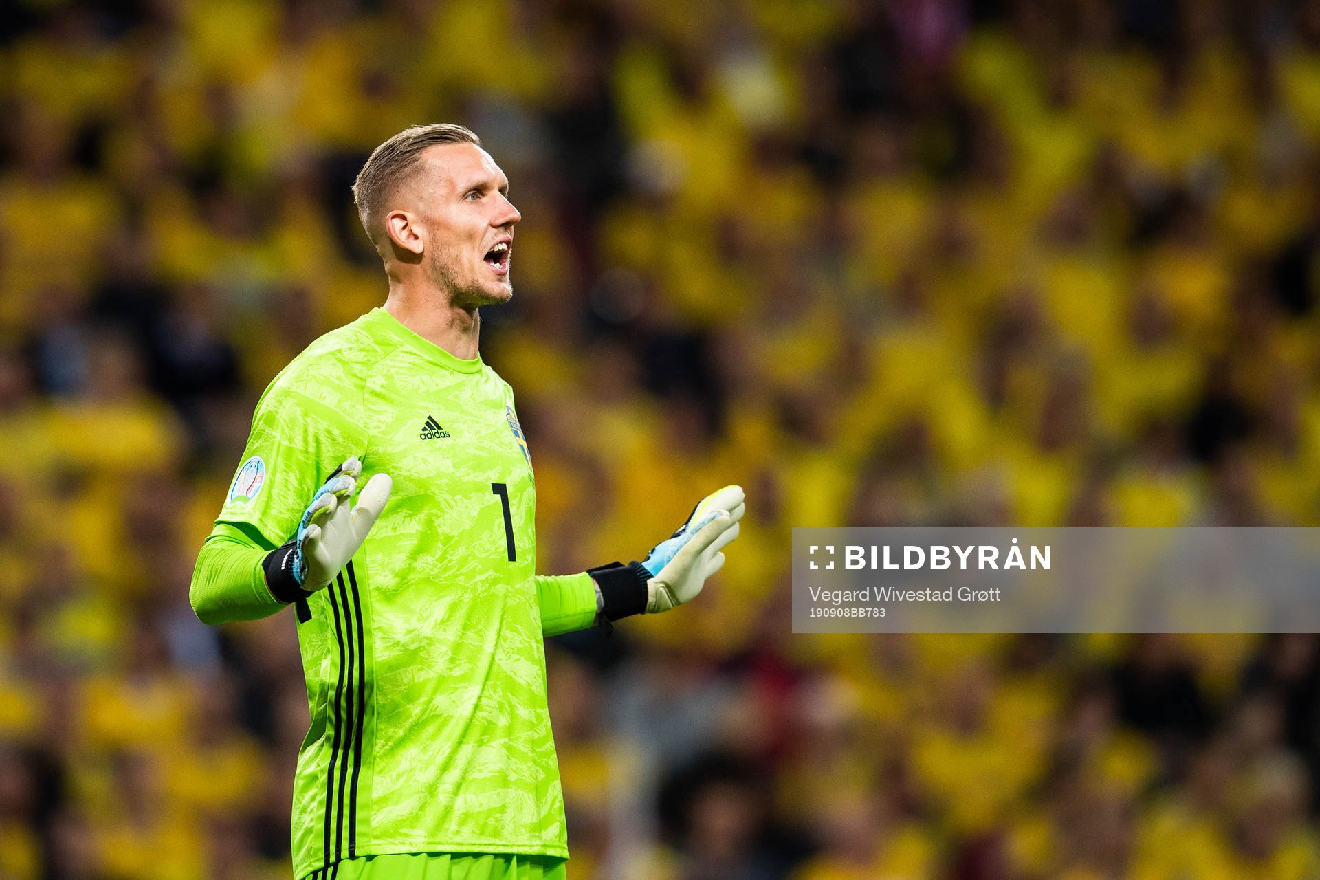 Goalkeeper Robin Olsen of Sweden