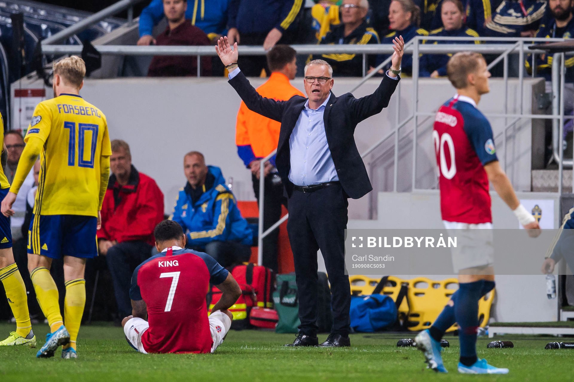 Janne Andersson, head coach of Sweden reacts