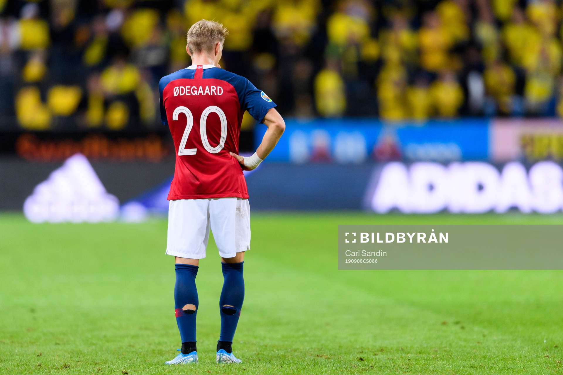 The back of Martin Ødegaard of Norway