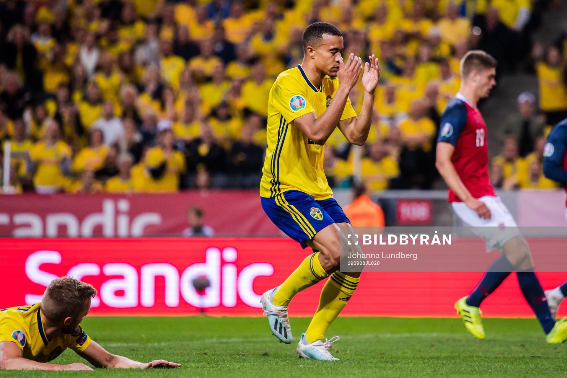 Sebastian Larsson and Robin Quaison of Sweden look dejected