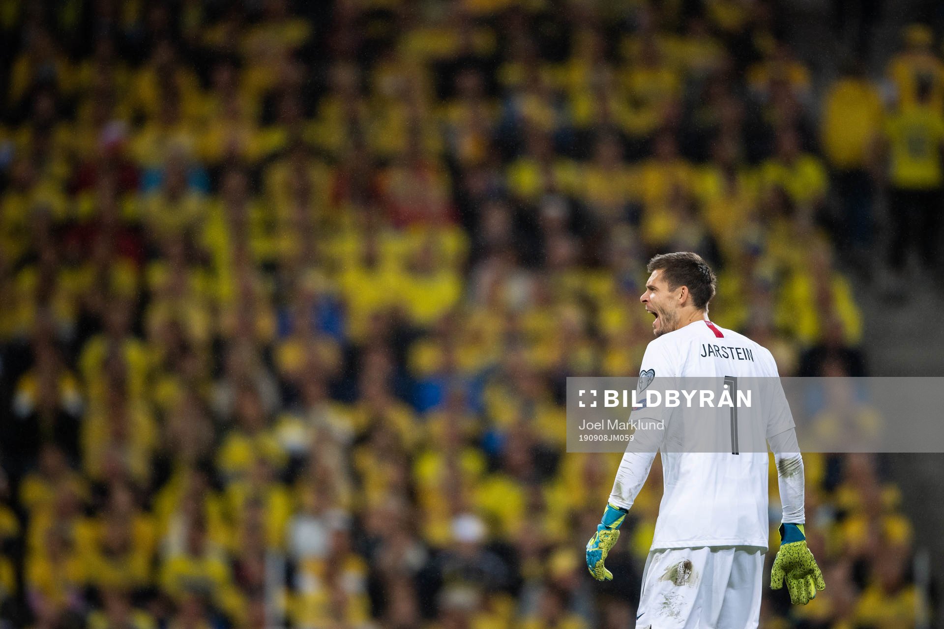 Goalkeeper Rune Almenning Jarstein of Norway