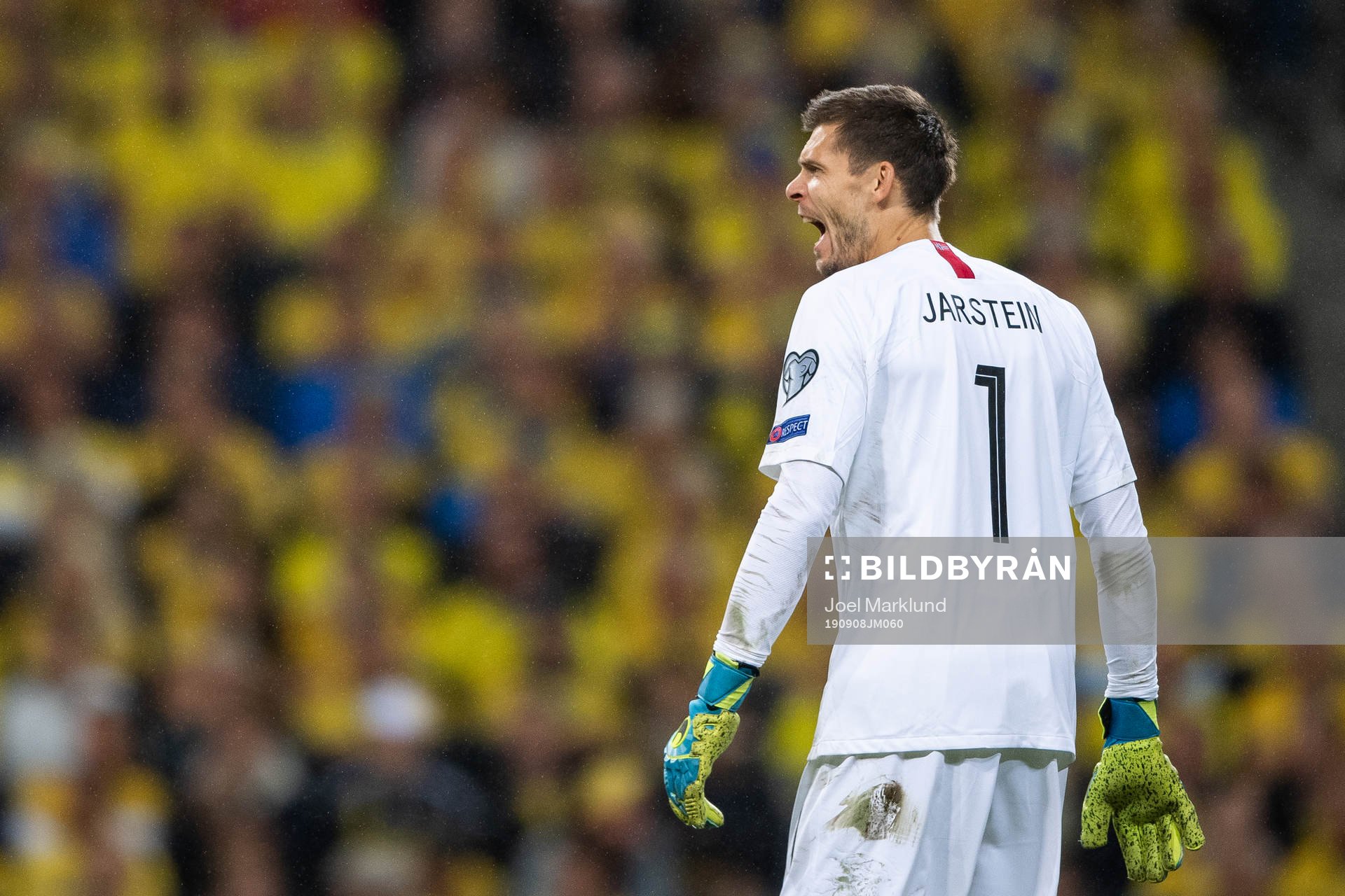 Goalkeeper Rune Almenning Jarstein of Norway