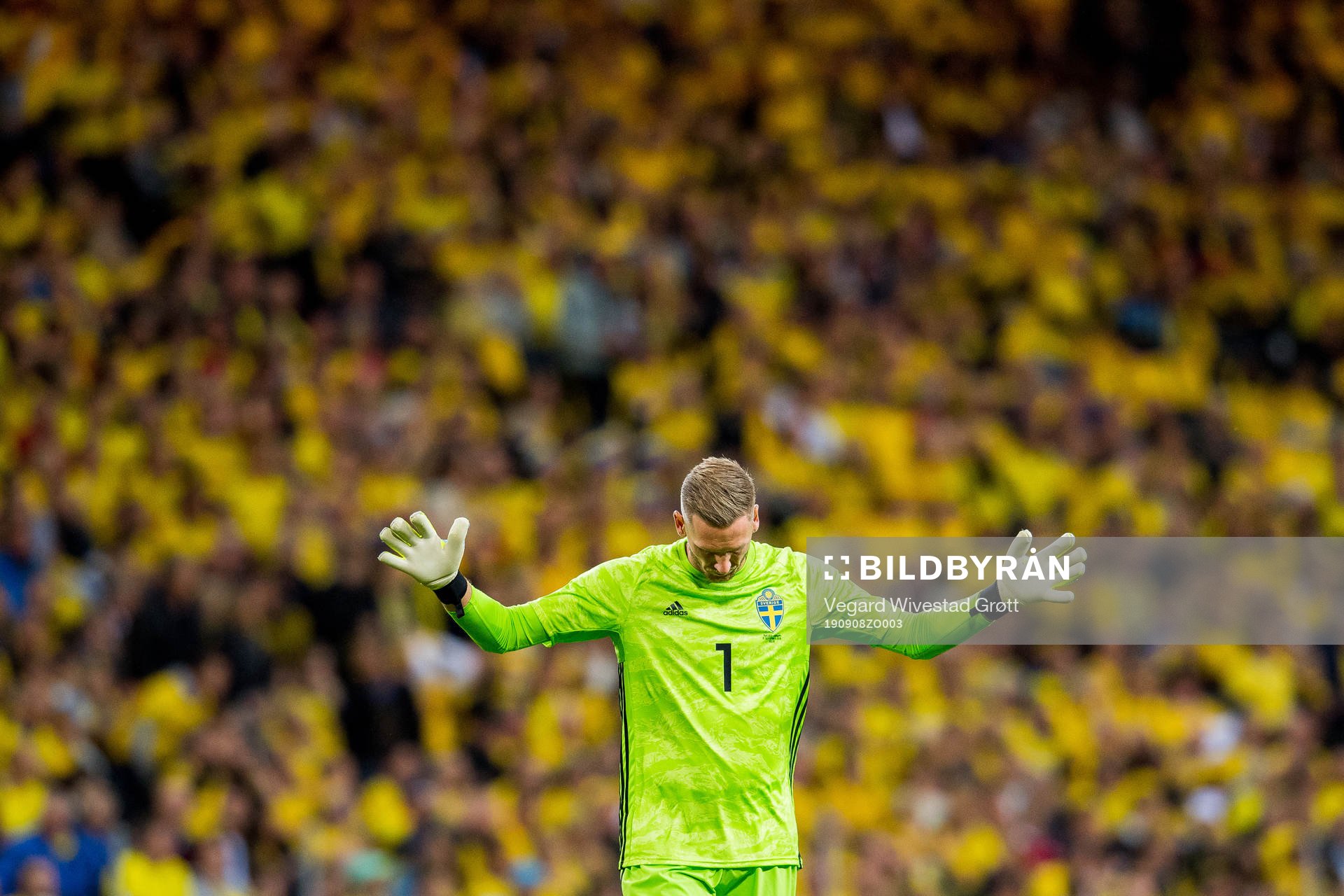 Goalkeeper Robin Olsen of Sweden
