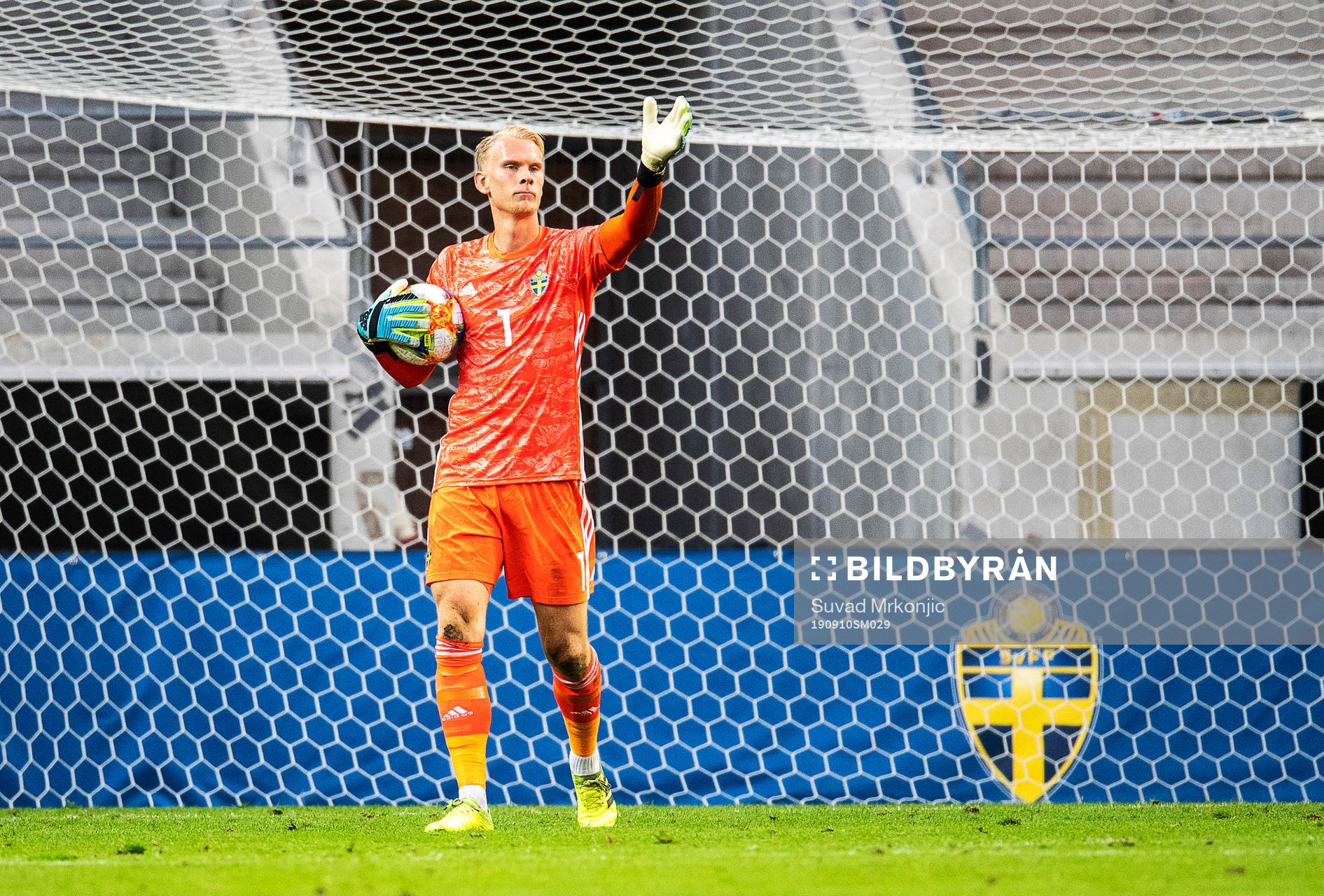 Goalkeeper Pontus Dahlberg of Sweden