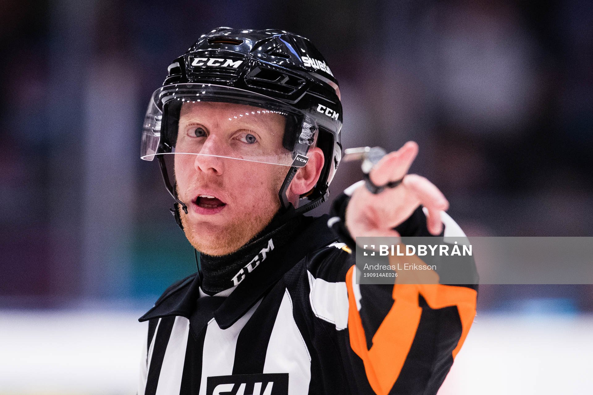 Domare Mikael Holm