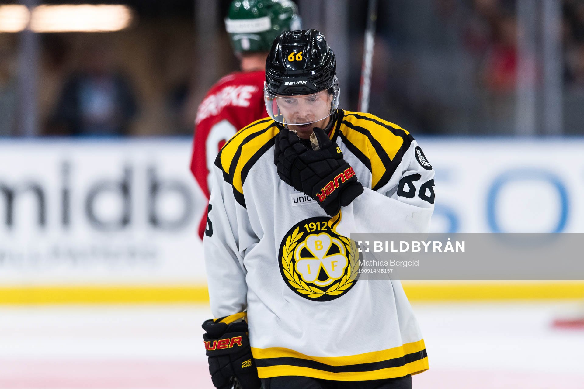 Brynäs Alexander Lindelöf