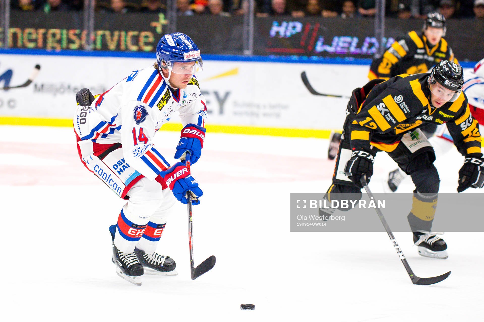 Skellefteås Adam Pettersson