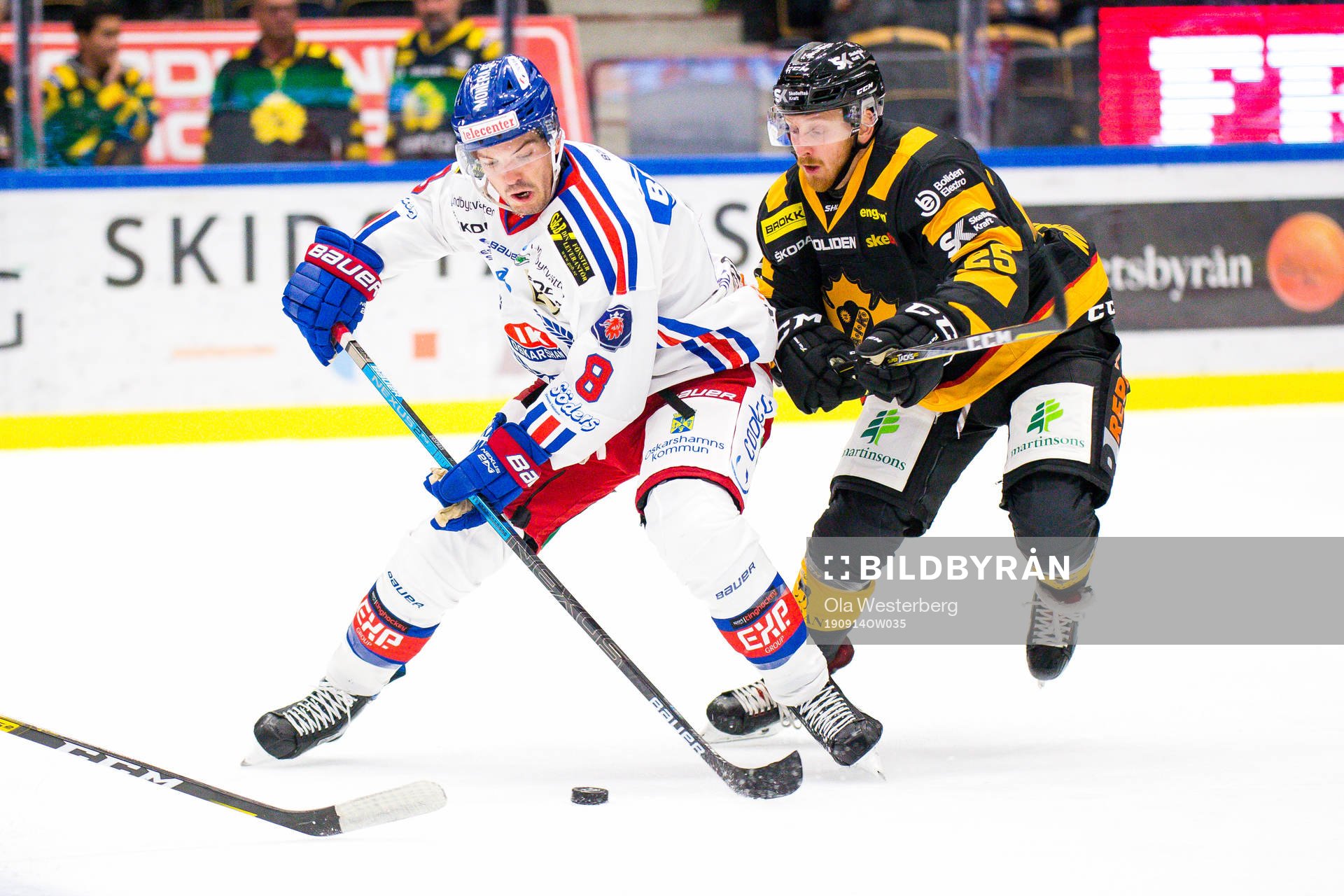 Skellefteås Pontus Widerström