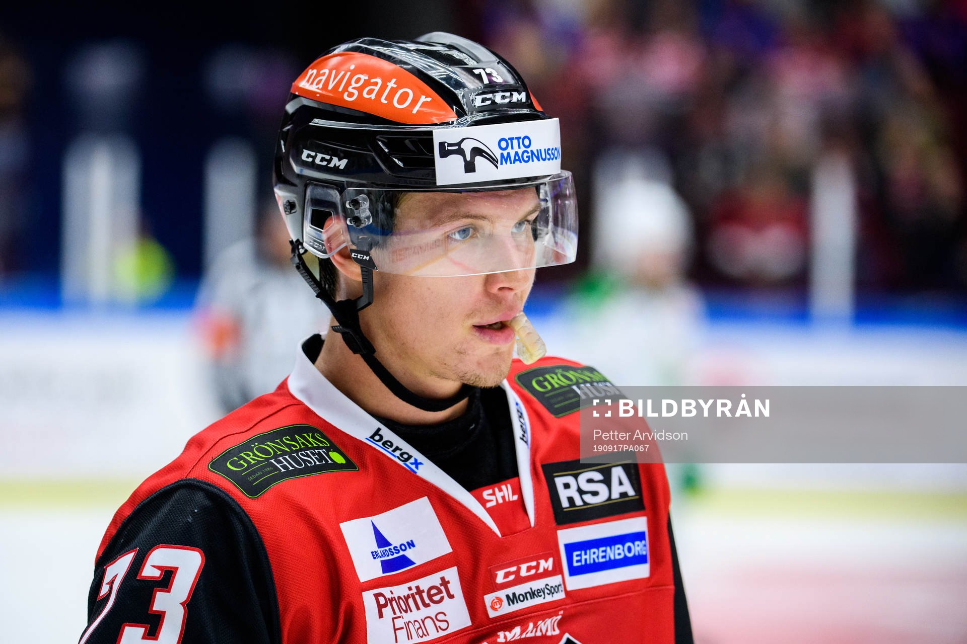 Malmö Redhawks Adam Ollas Mattsson