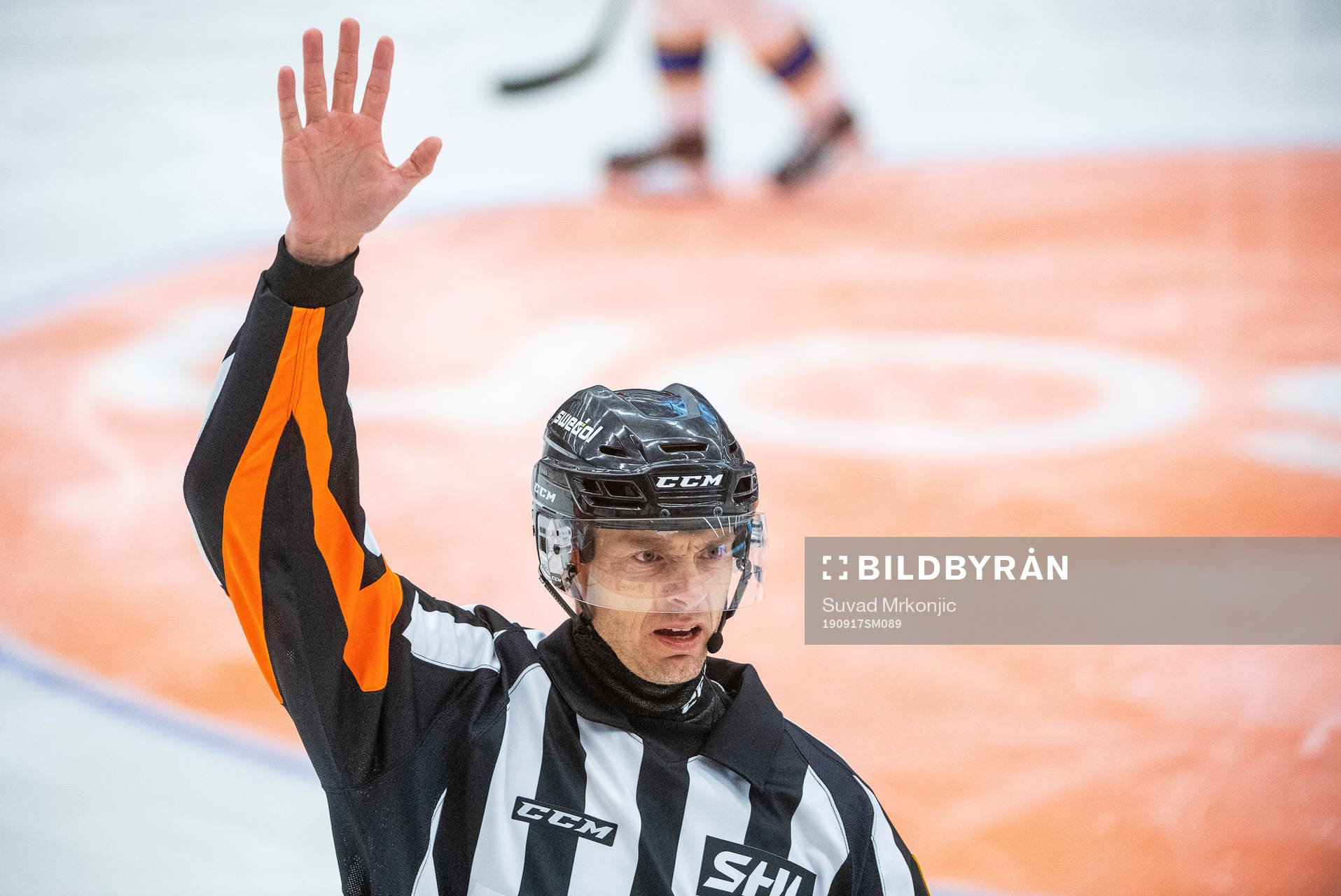 Domaren Richard Magnusson